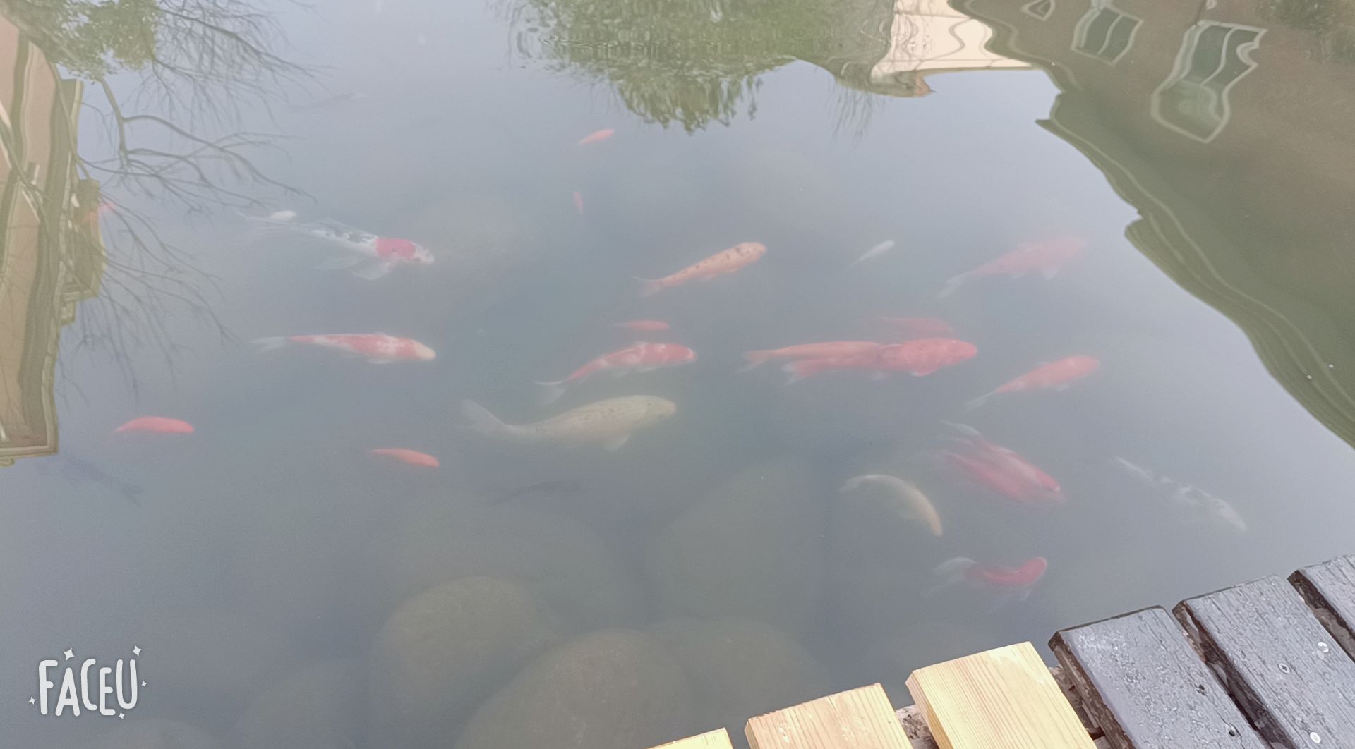 磨盘山森林公园旅行图片 1