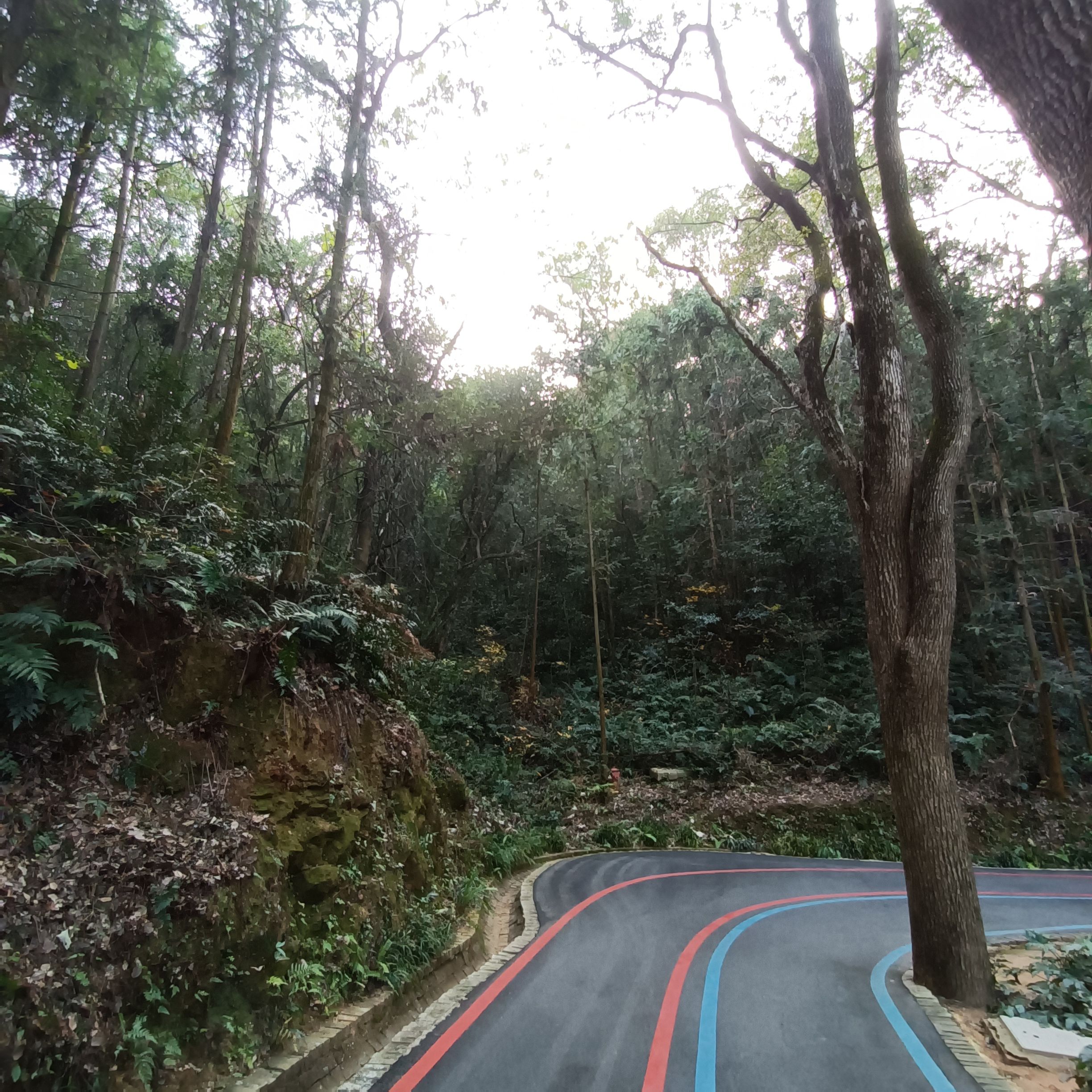 磨盘山森林公园旅行图片 3