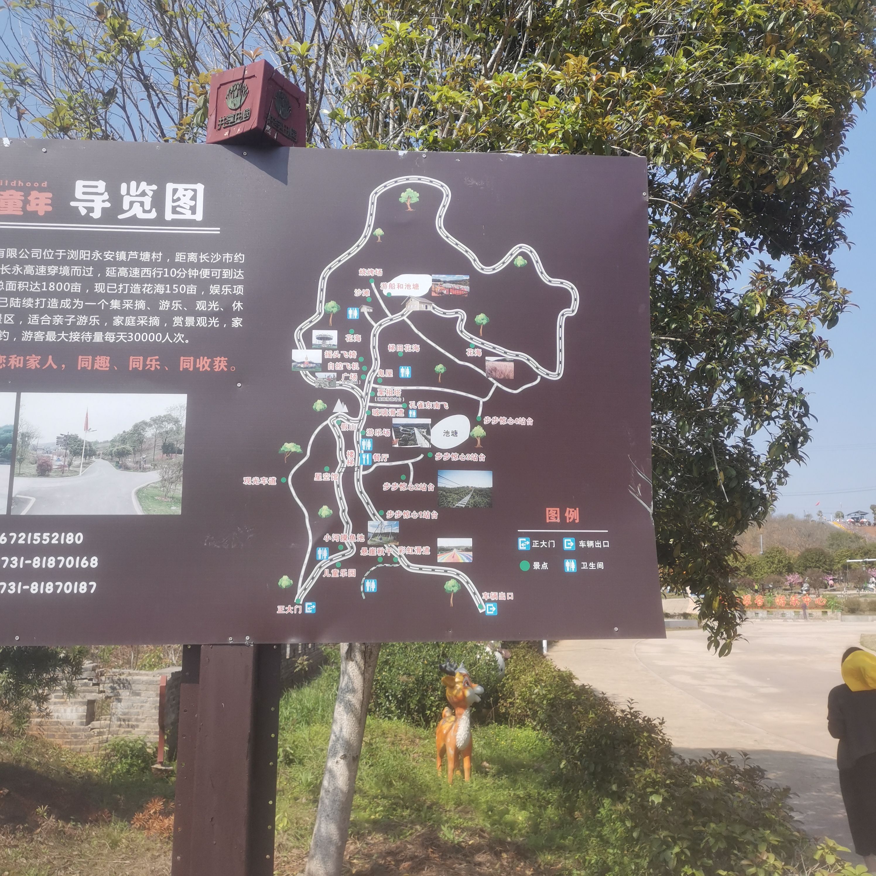 遇见童年景区旅行图片 1