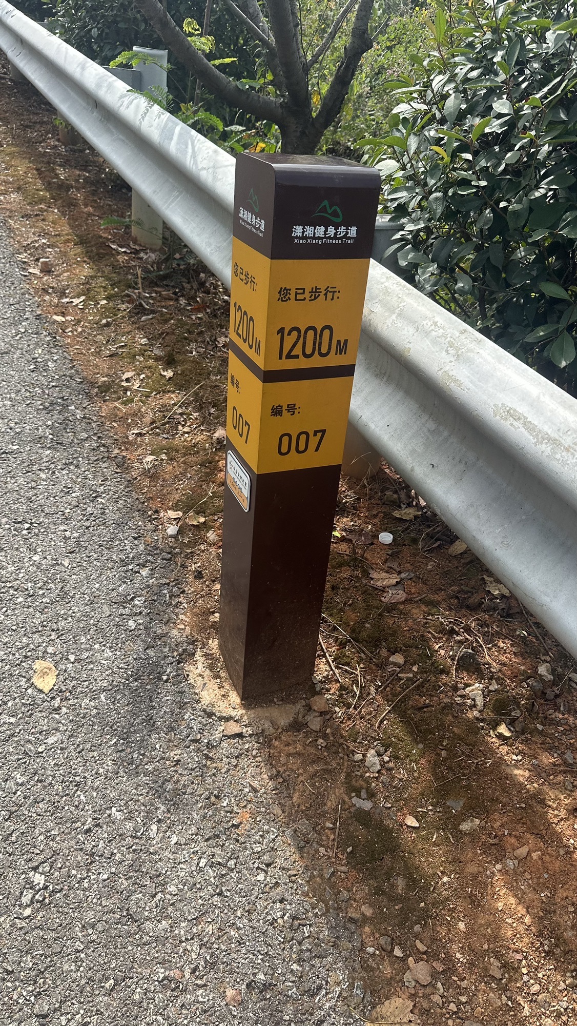 岳阳楼麻布山省级森林公园旅行图片 2