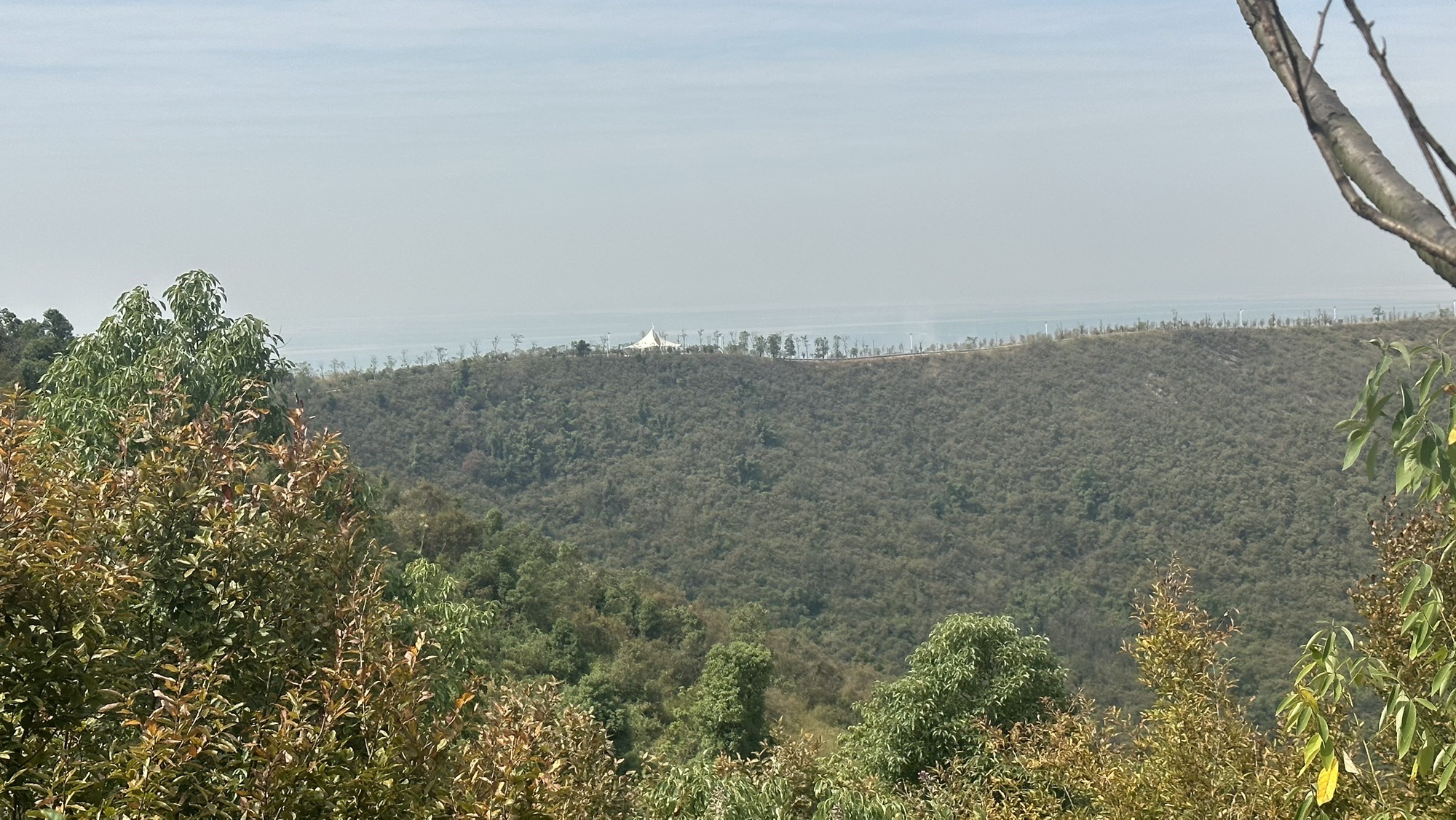 岳阳楼麻布山省级森林公园旅行图片 1