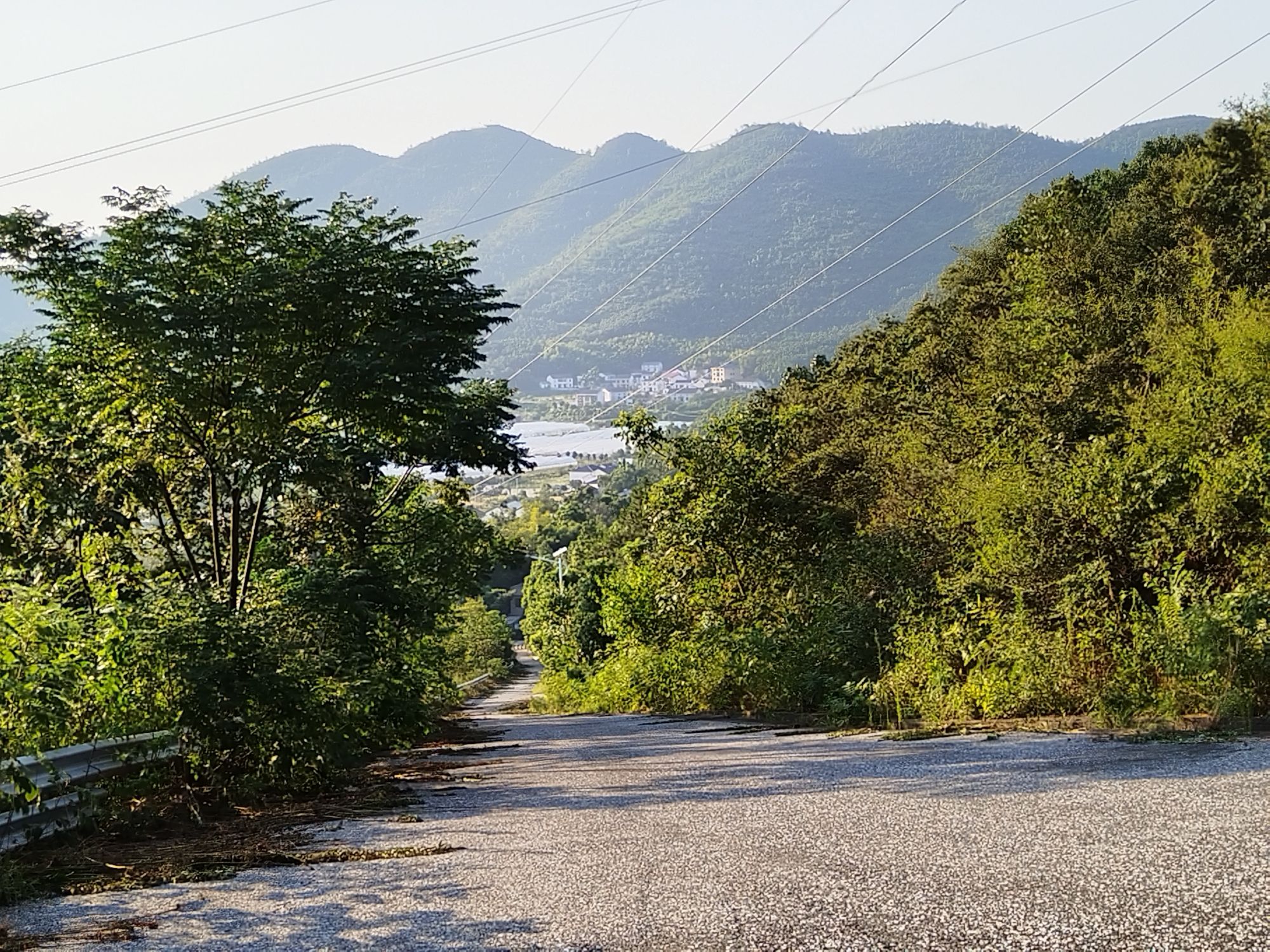 岳阳楼麻布山省级森林公园旅行图片 3