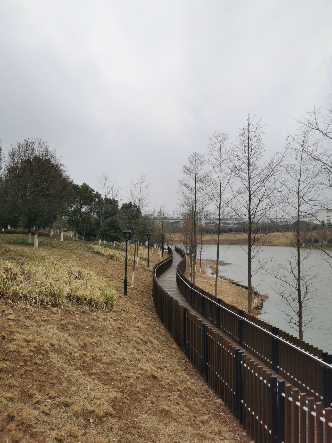 稠江公园旅行图片 1