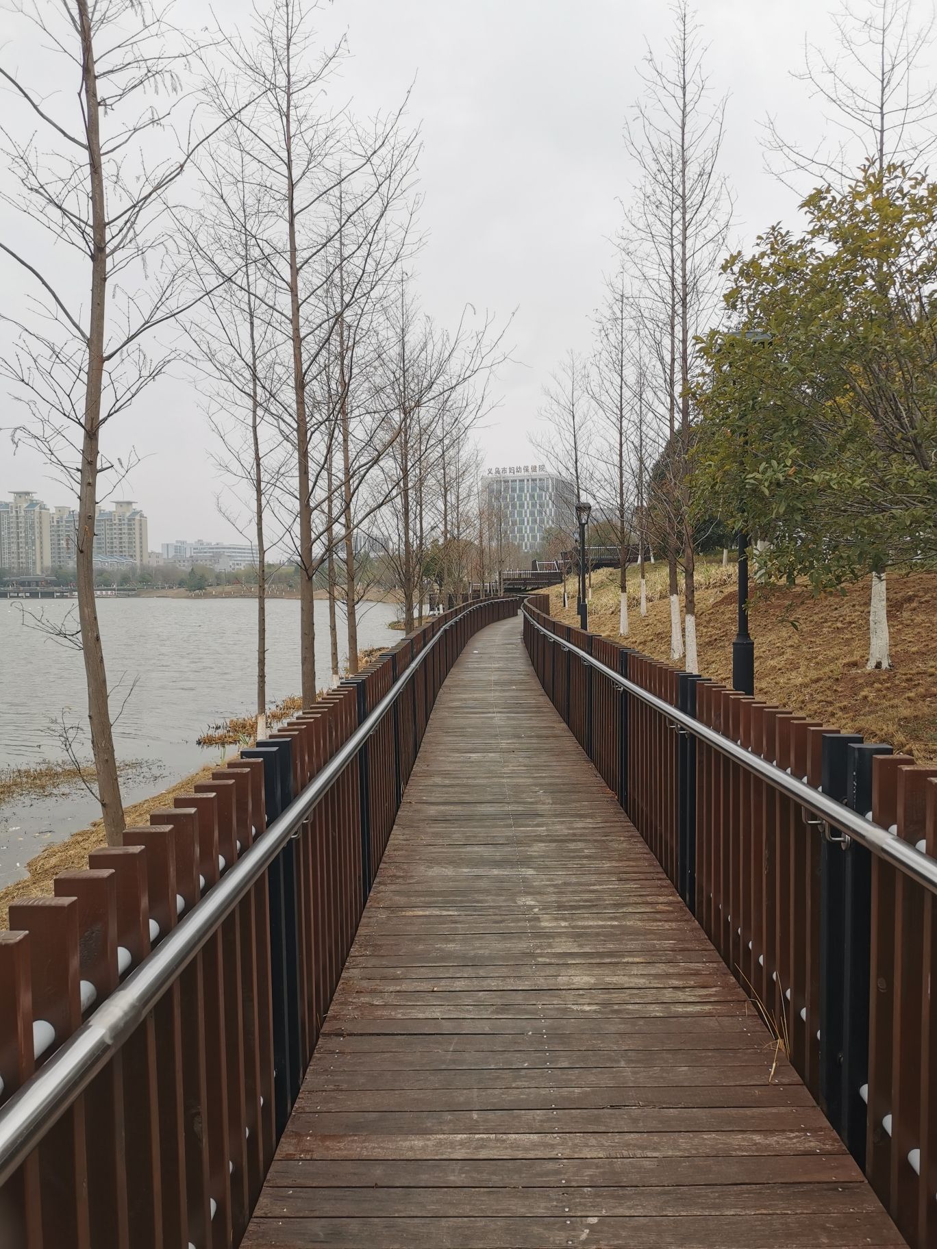 稠江公园旅行图片 3