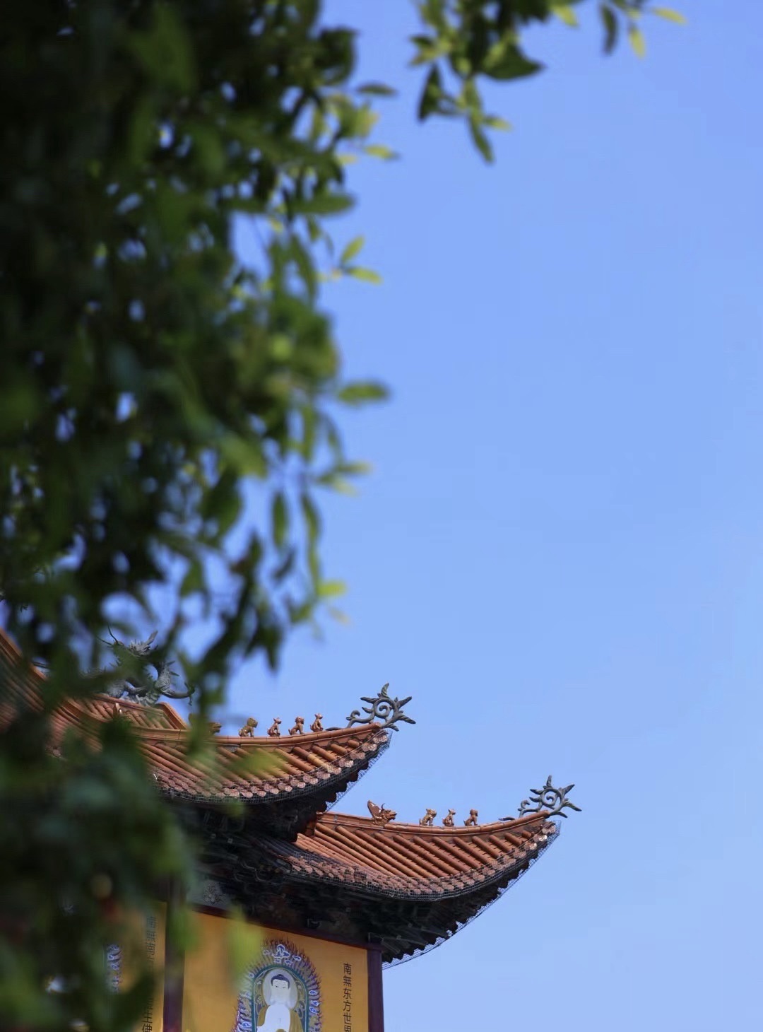 稠江公园旅行图片 2