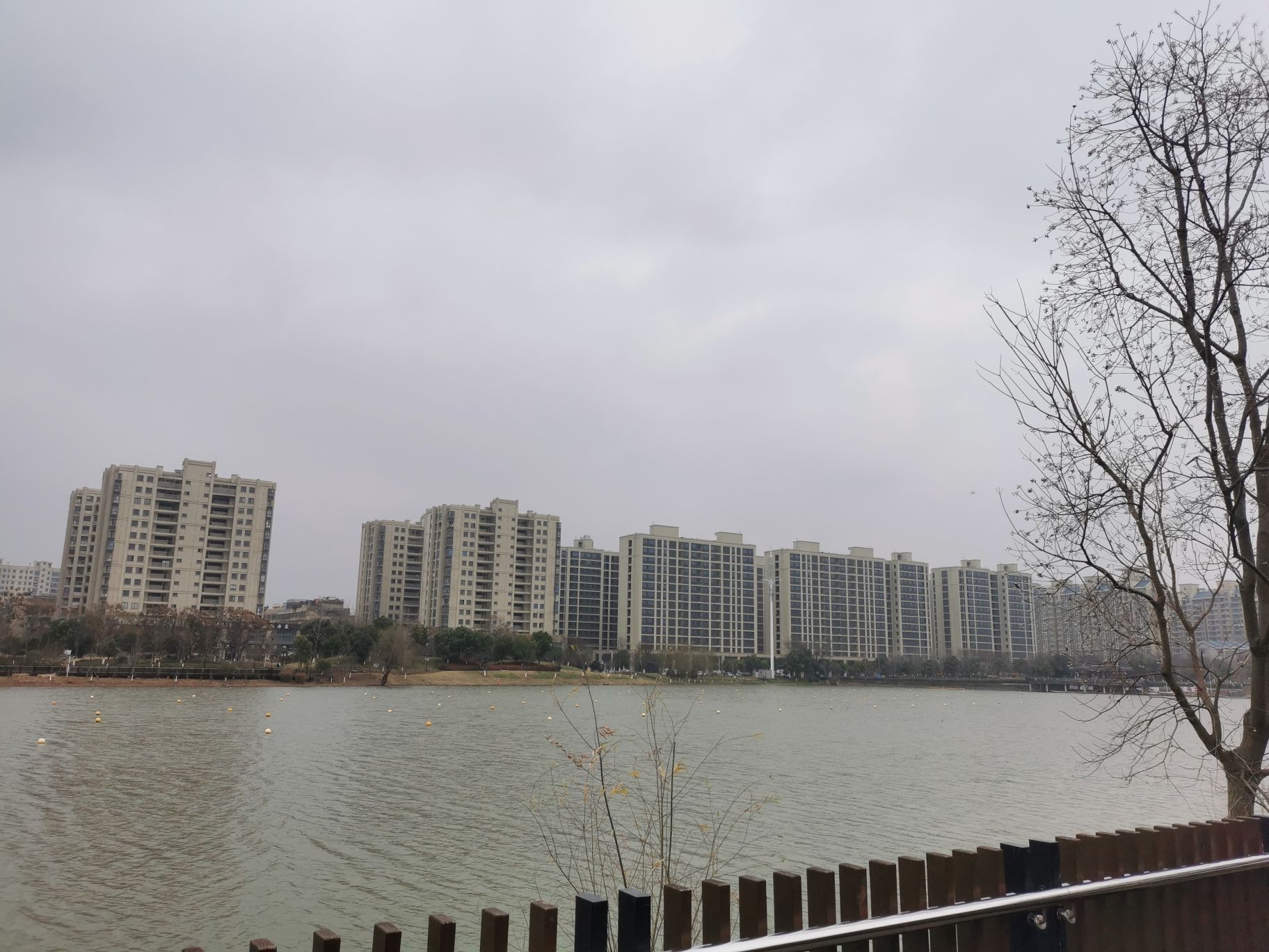 稠江公园旅行图片 2