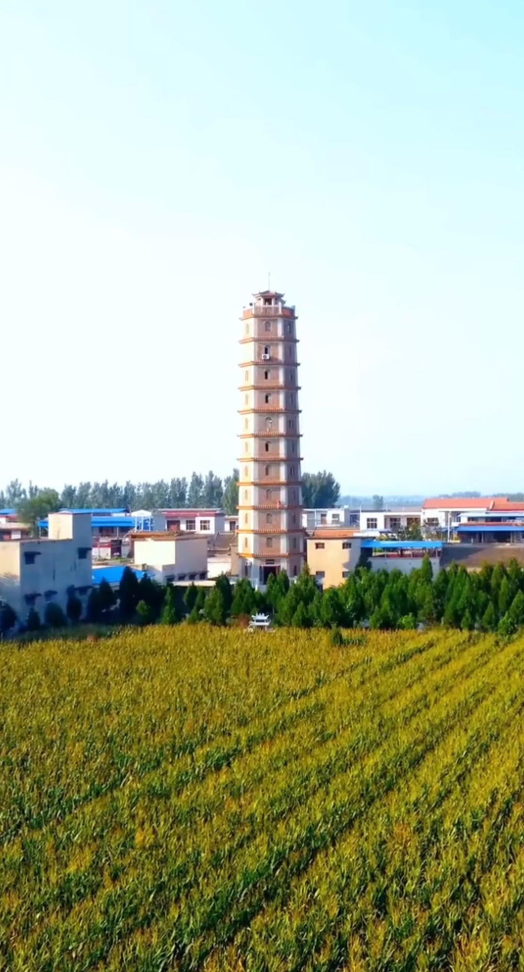母亲塔旅行图片 1