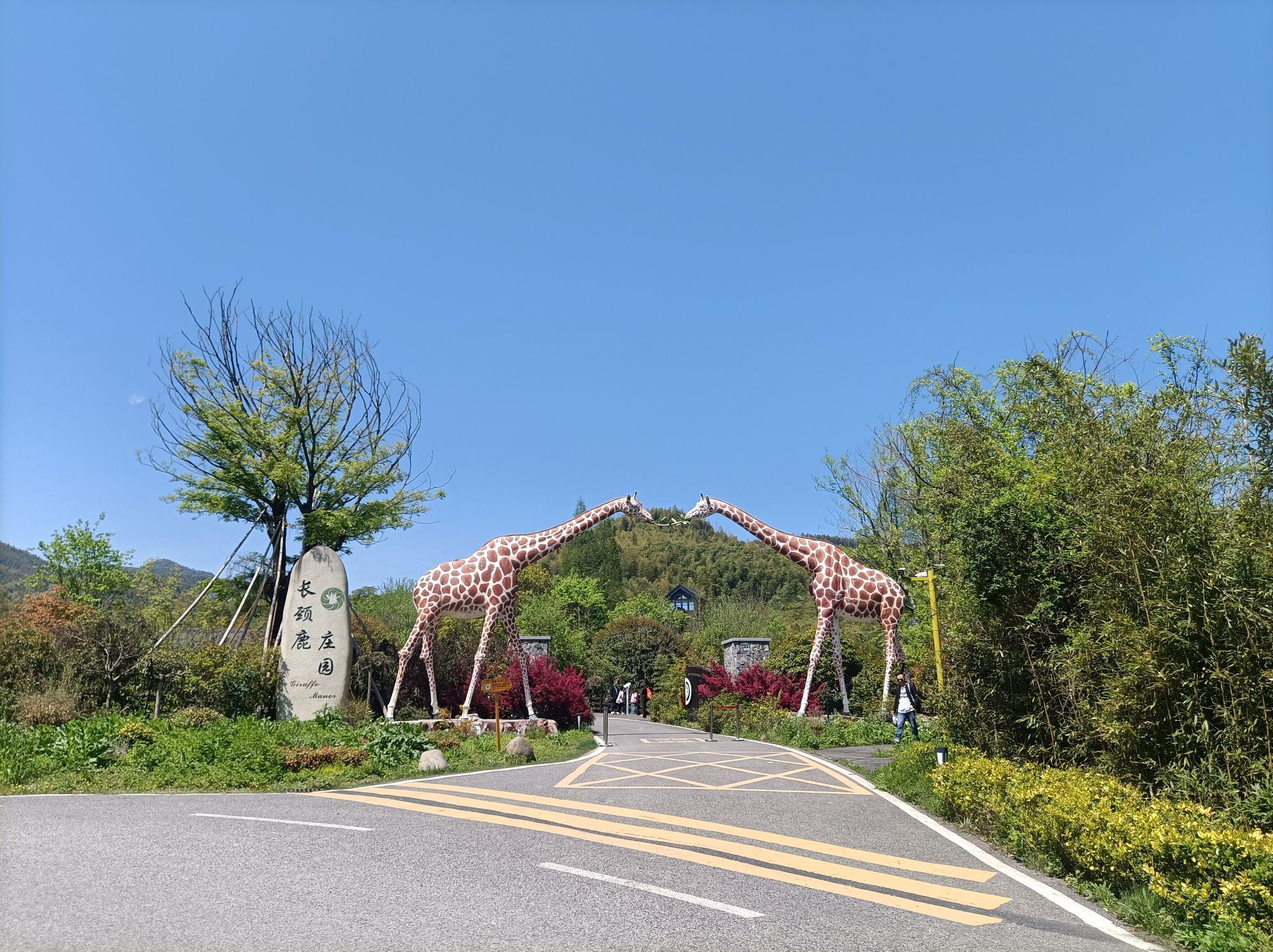 长颈鹿庄园旅行图片 1