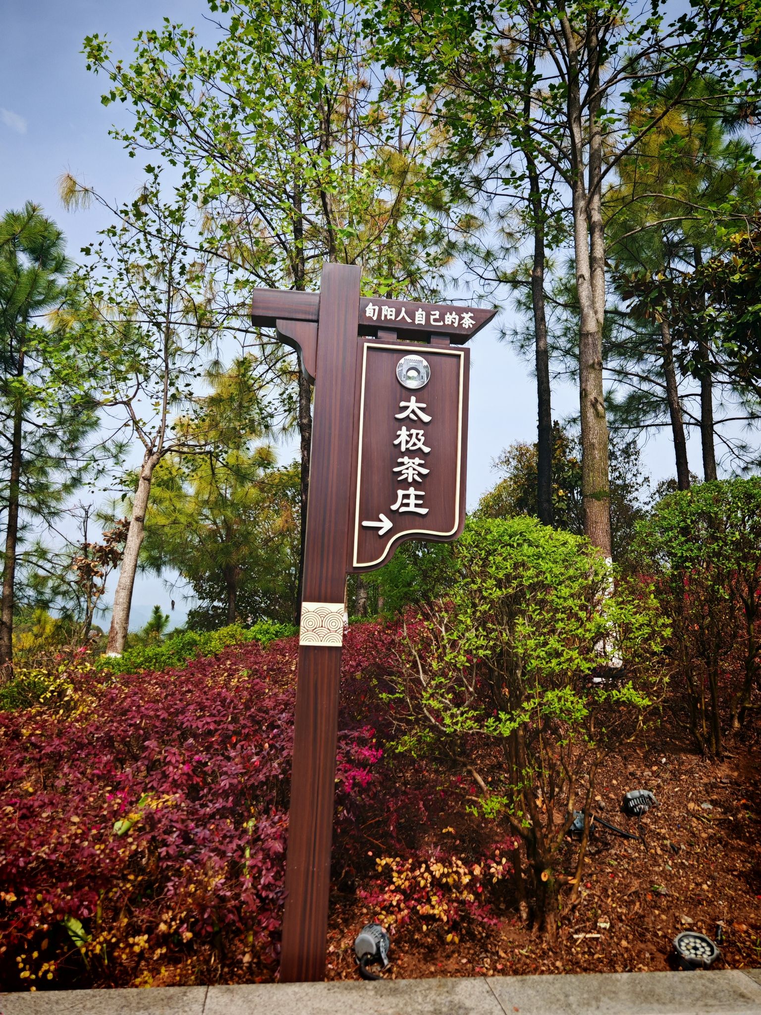 旬阳市太极城森林公园