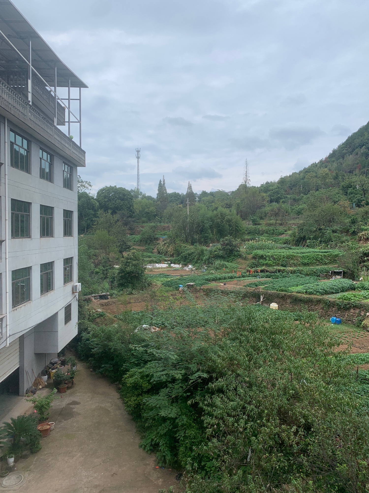 尖山公园旅行图片 2