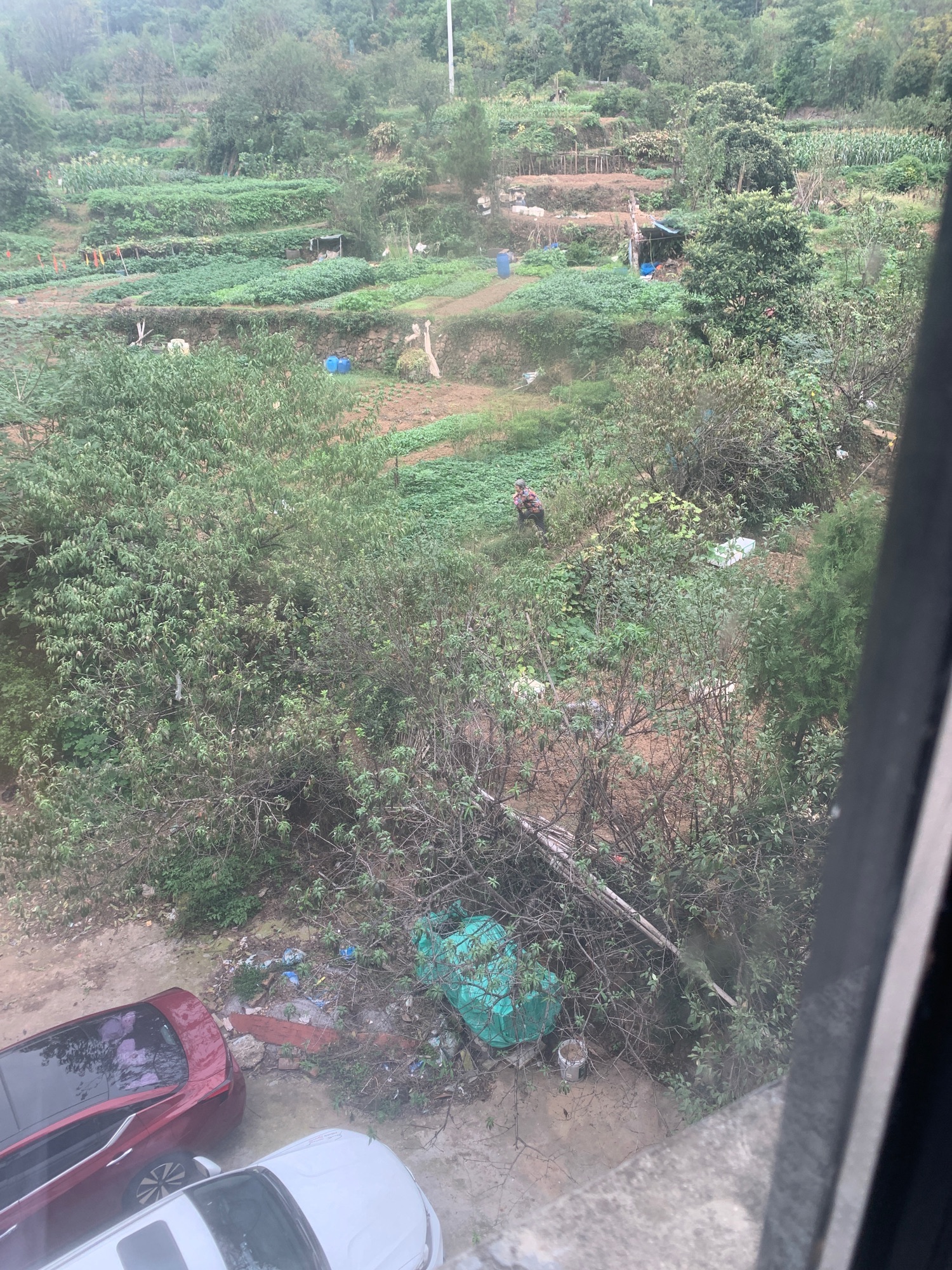 尖山公园旅行图片 3