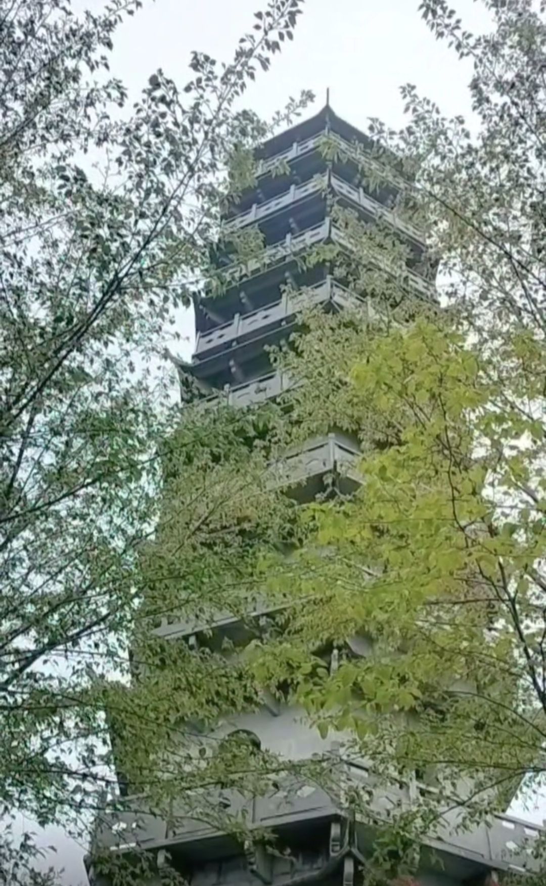 尖山公园旅行图片 2