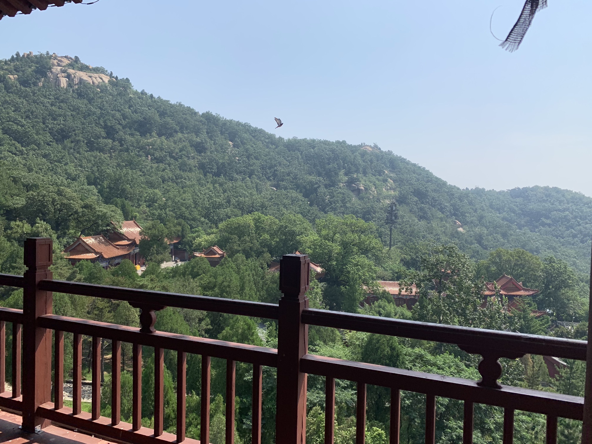 新泰新甫山景区旅行图片 1