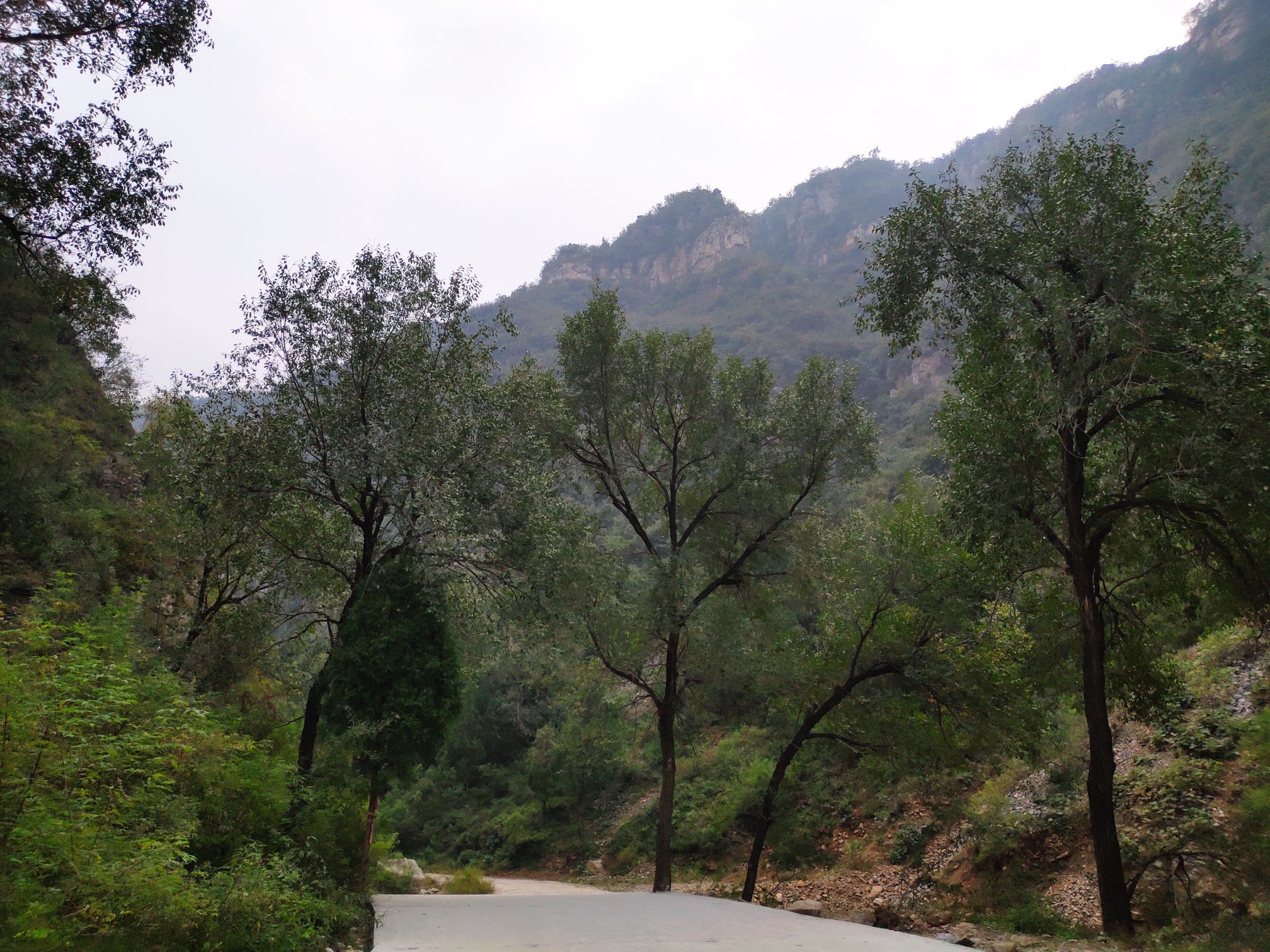 龙泉谷旅行图片 2