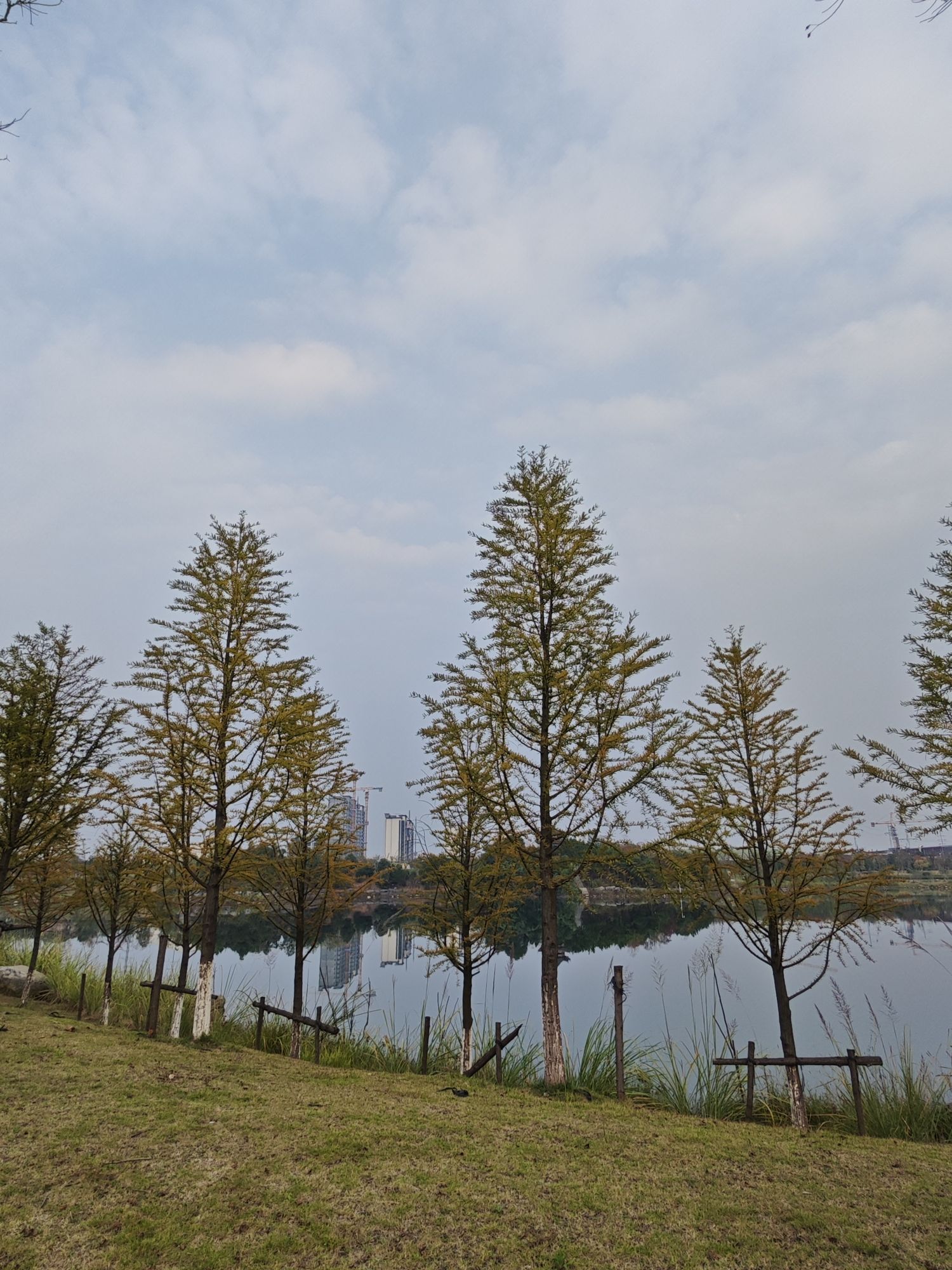 春顺公园旅行图片 3