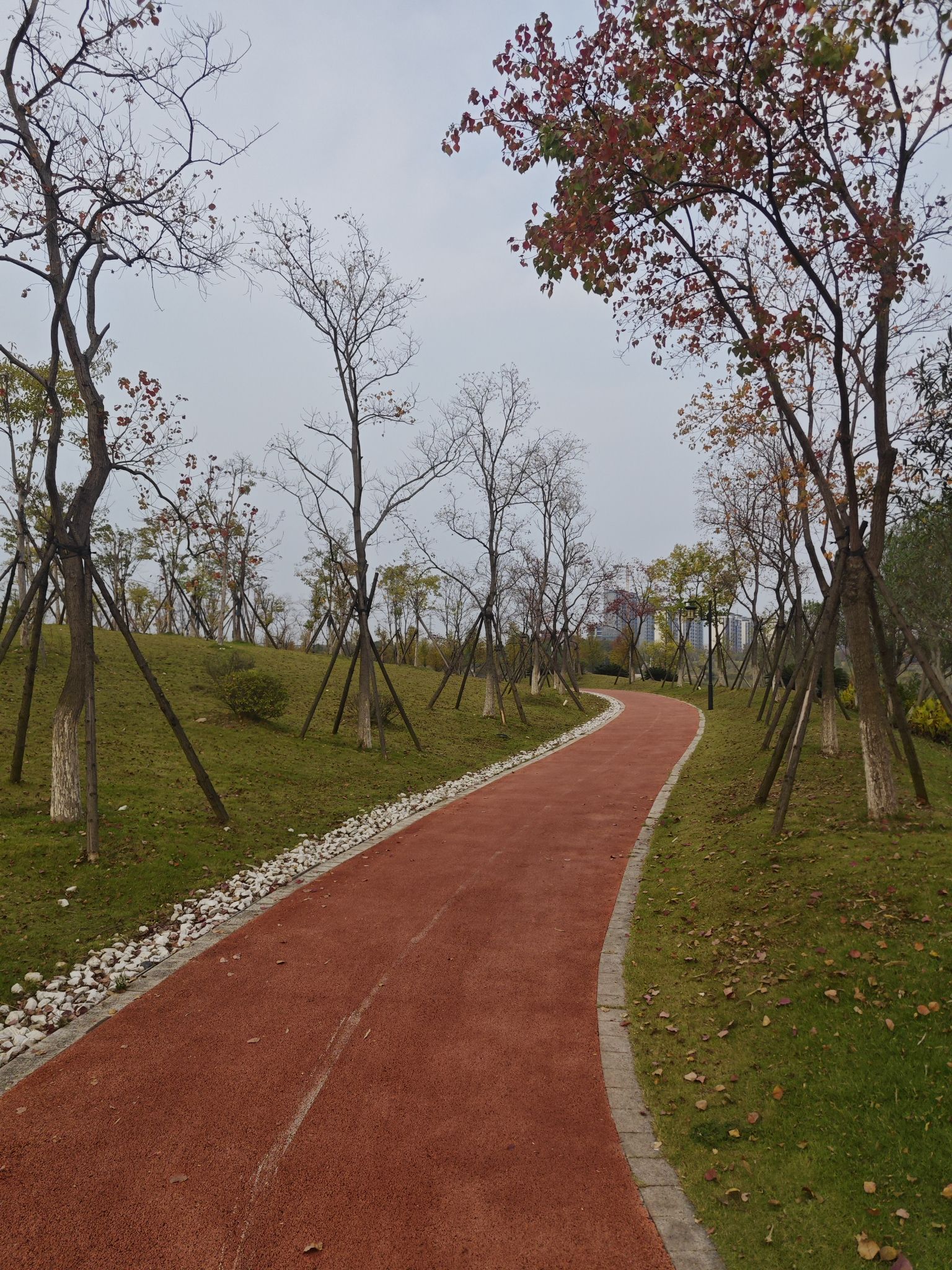 春顺公园旅行图片