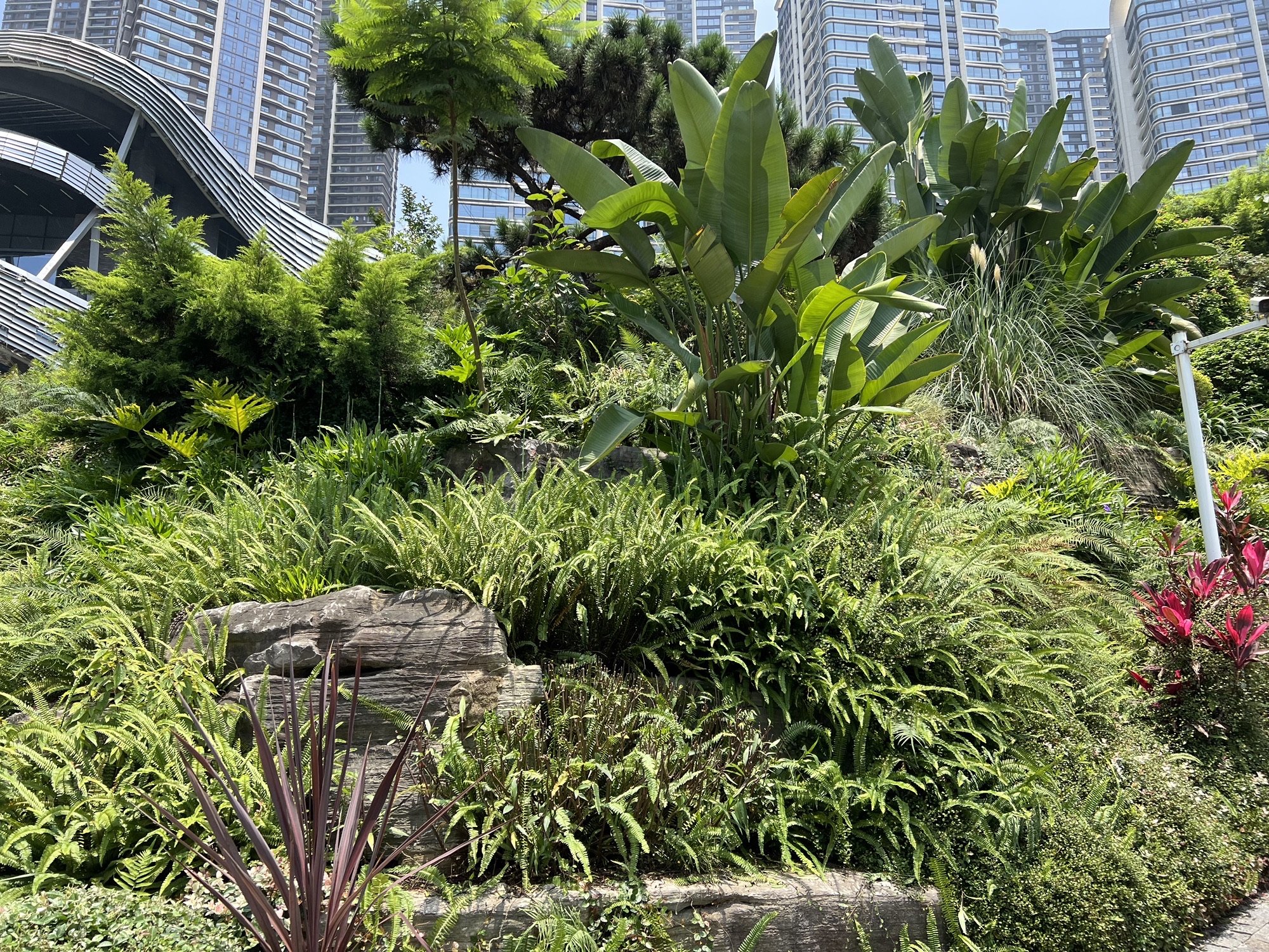 呼归石花阶公园旅行图片 3