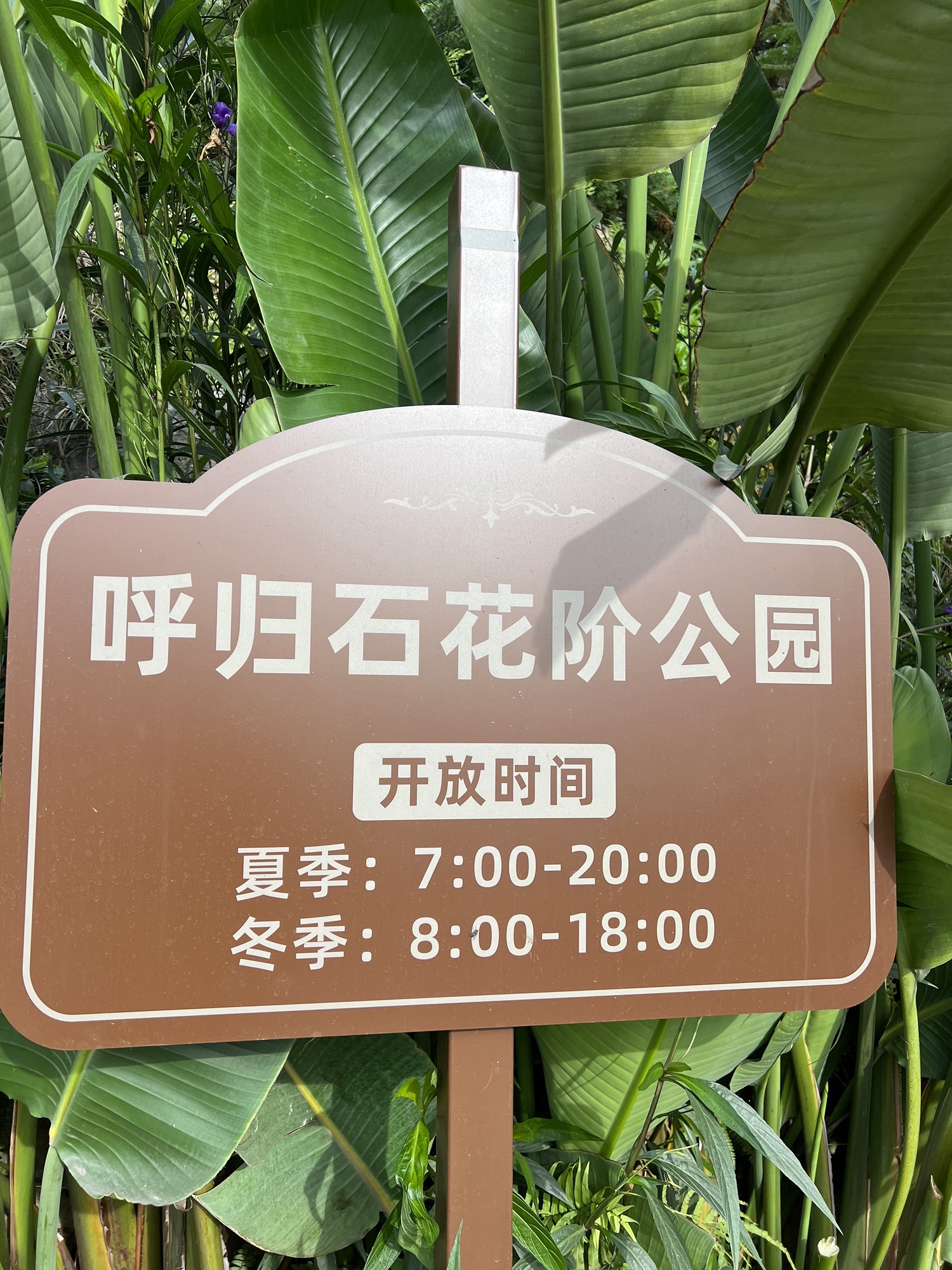 呼归石花阶公园旅行图片 1