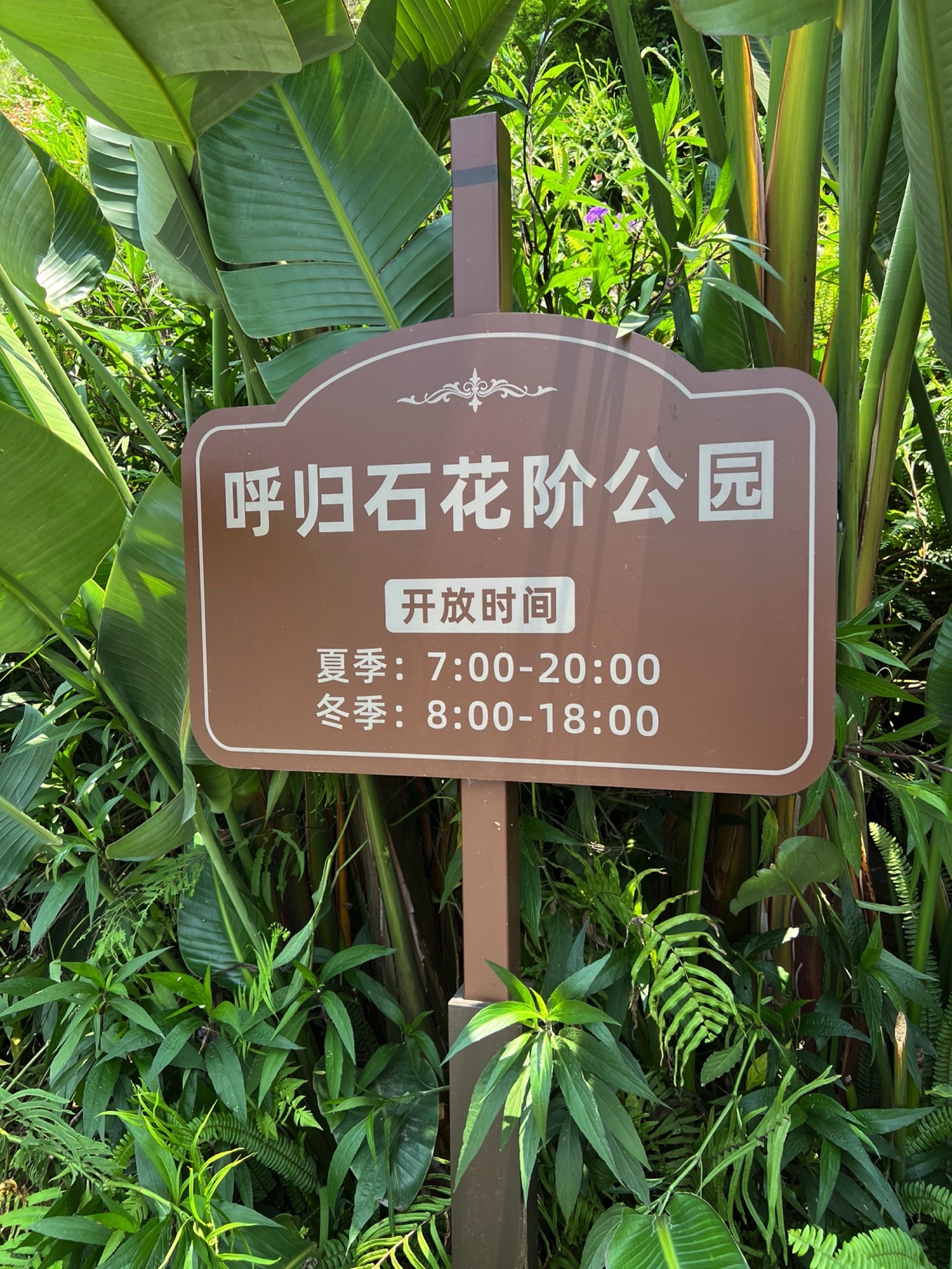 呼归石花阶公园