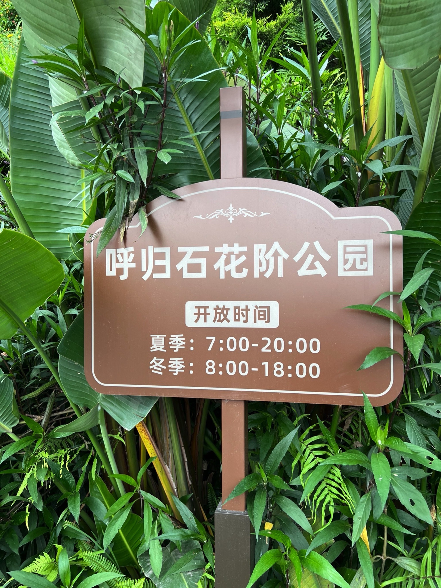 呼归石花阶公园旅行图片 1