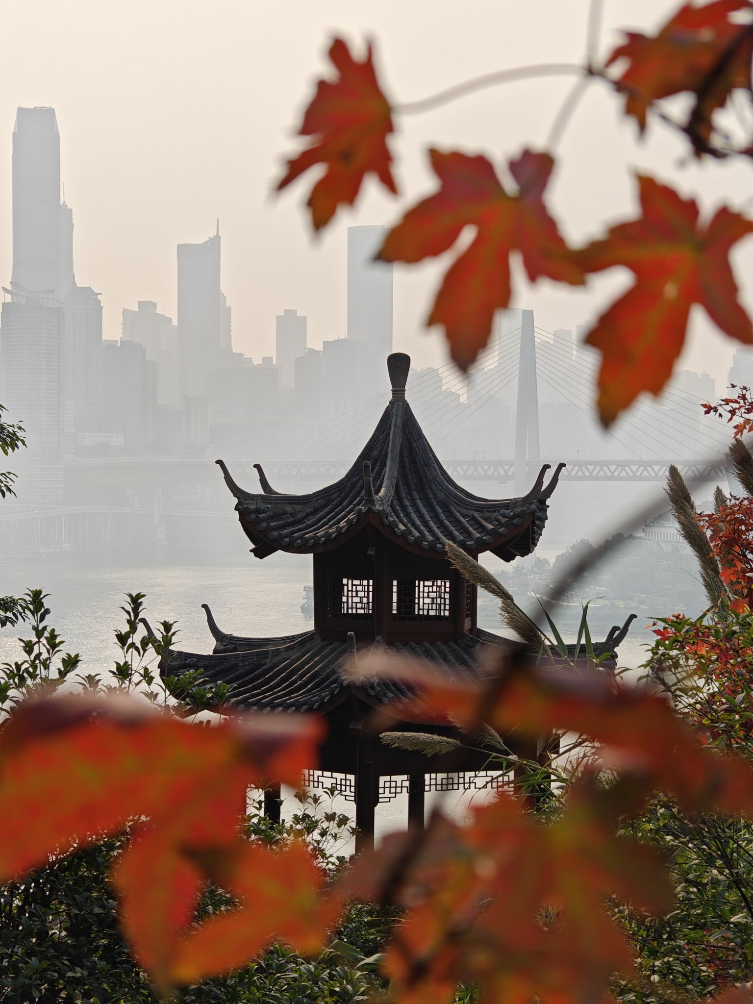 呼归石花阶公园旅行图片 1