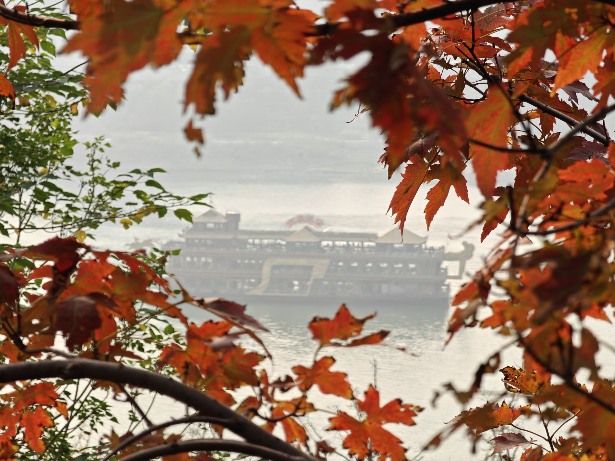 呼归石花阶公园旅行图片 2