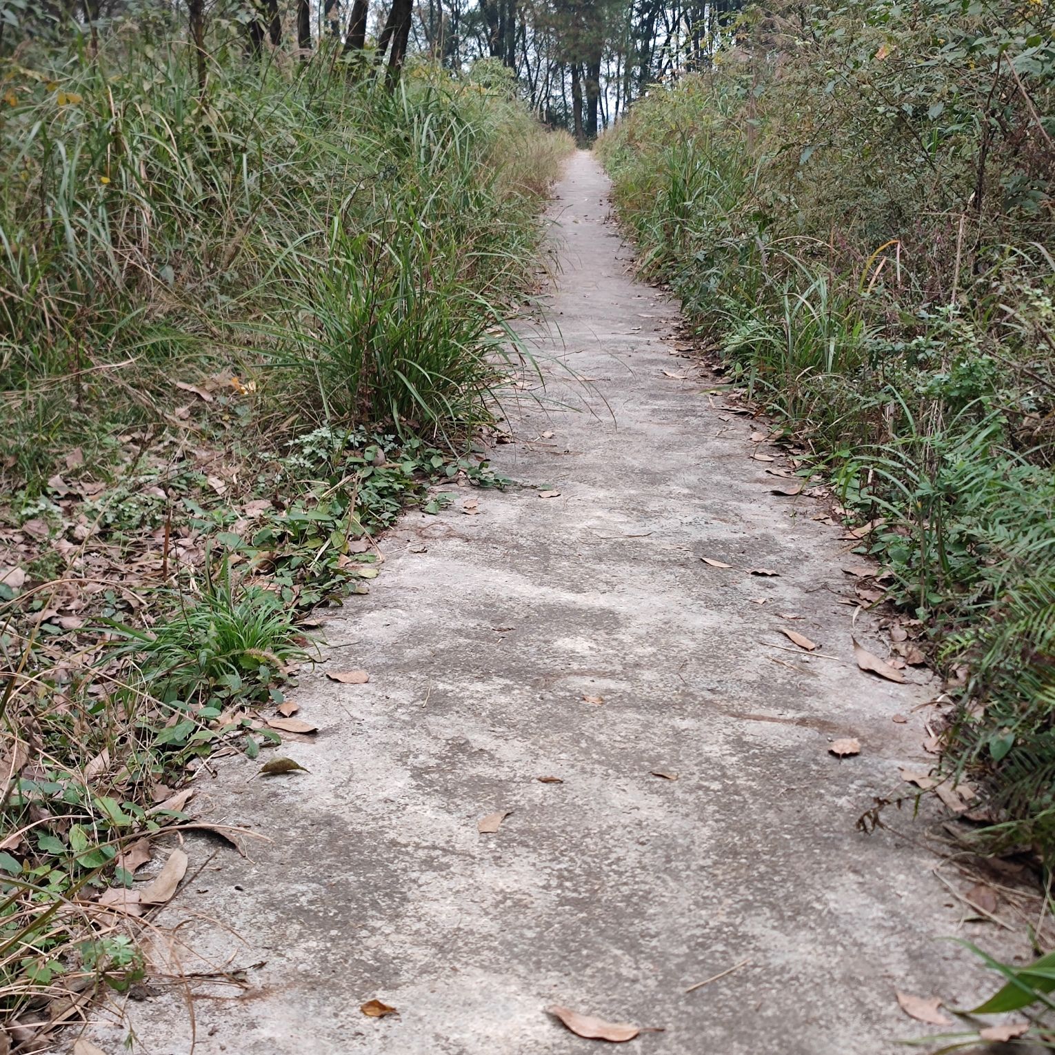 南山泉山炮台山遗址旅行图片 2