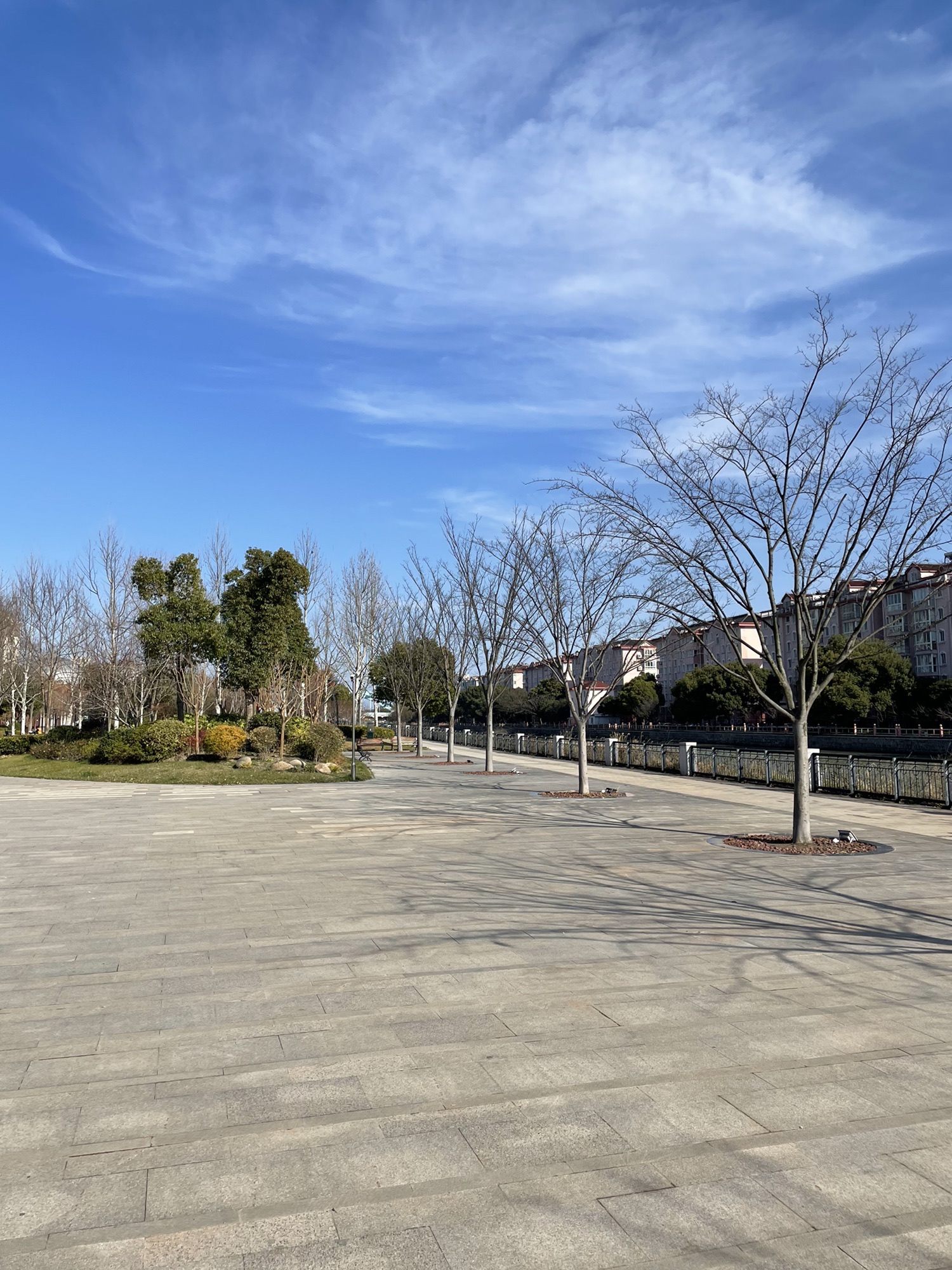 南上海运河公园旅行图片 2