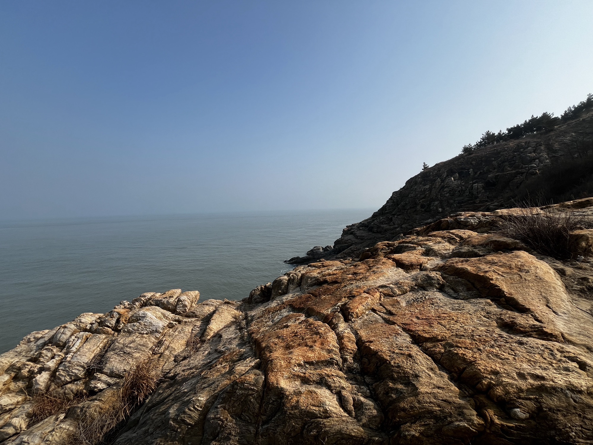 恐龙湾观景台旅行图片 1