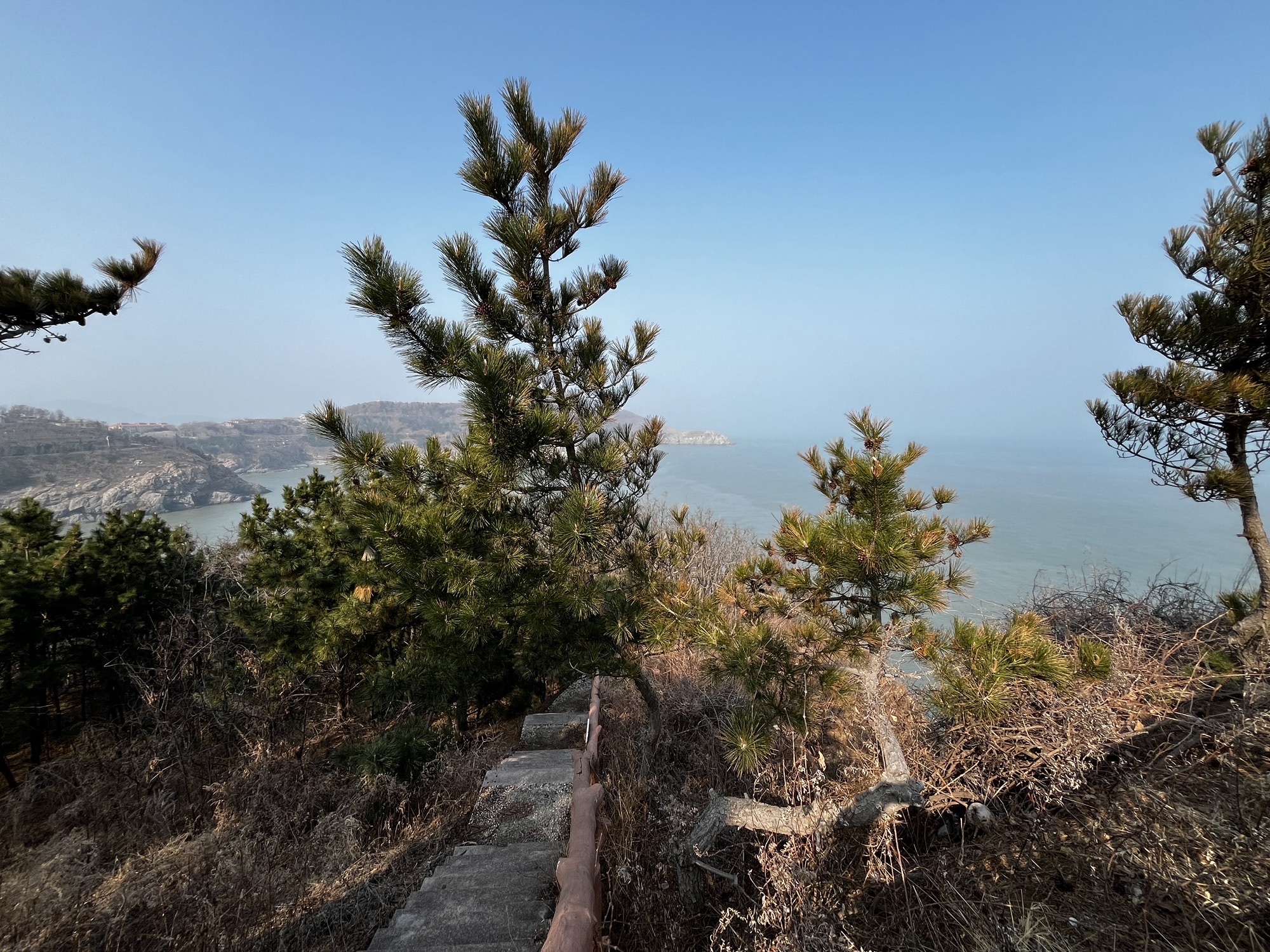 恐龙湾观景台旅行图片 1