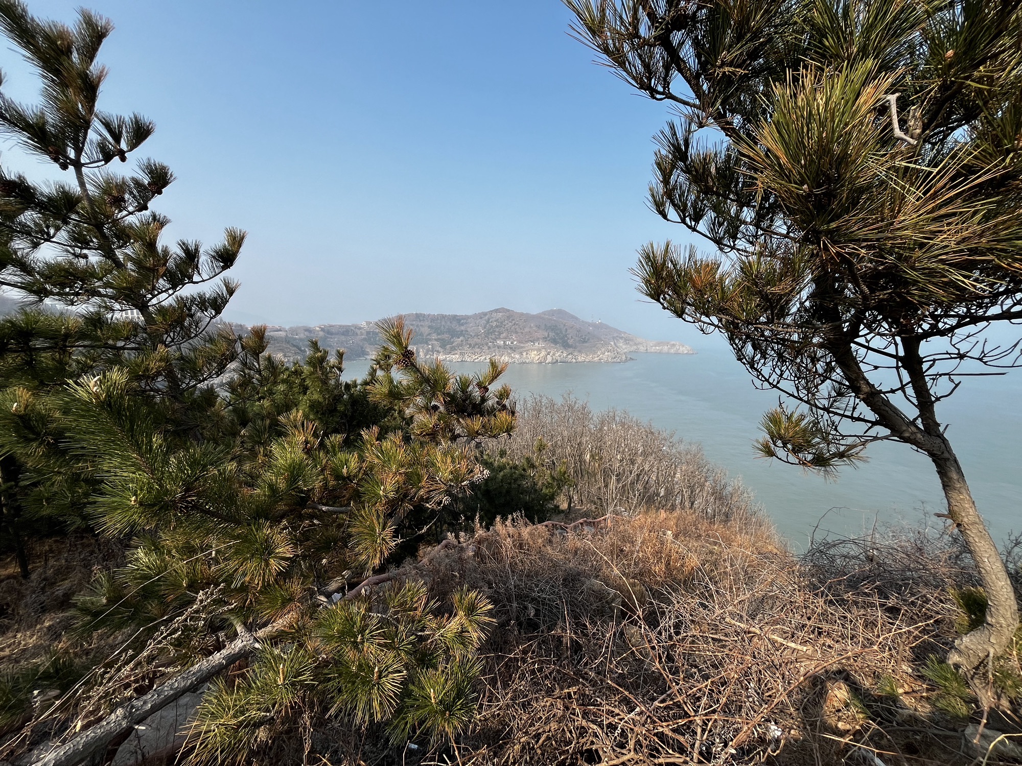 恐龙湾观景台旅行图片 3