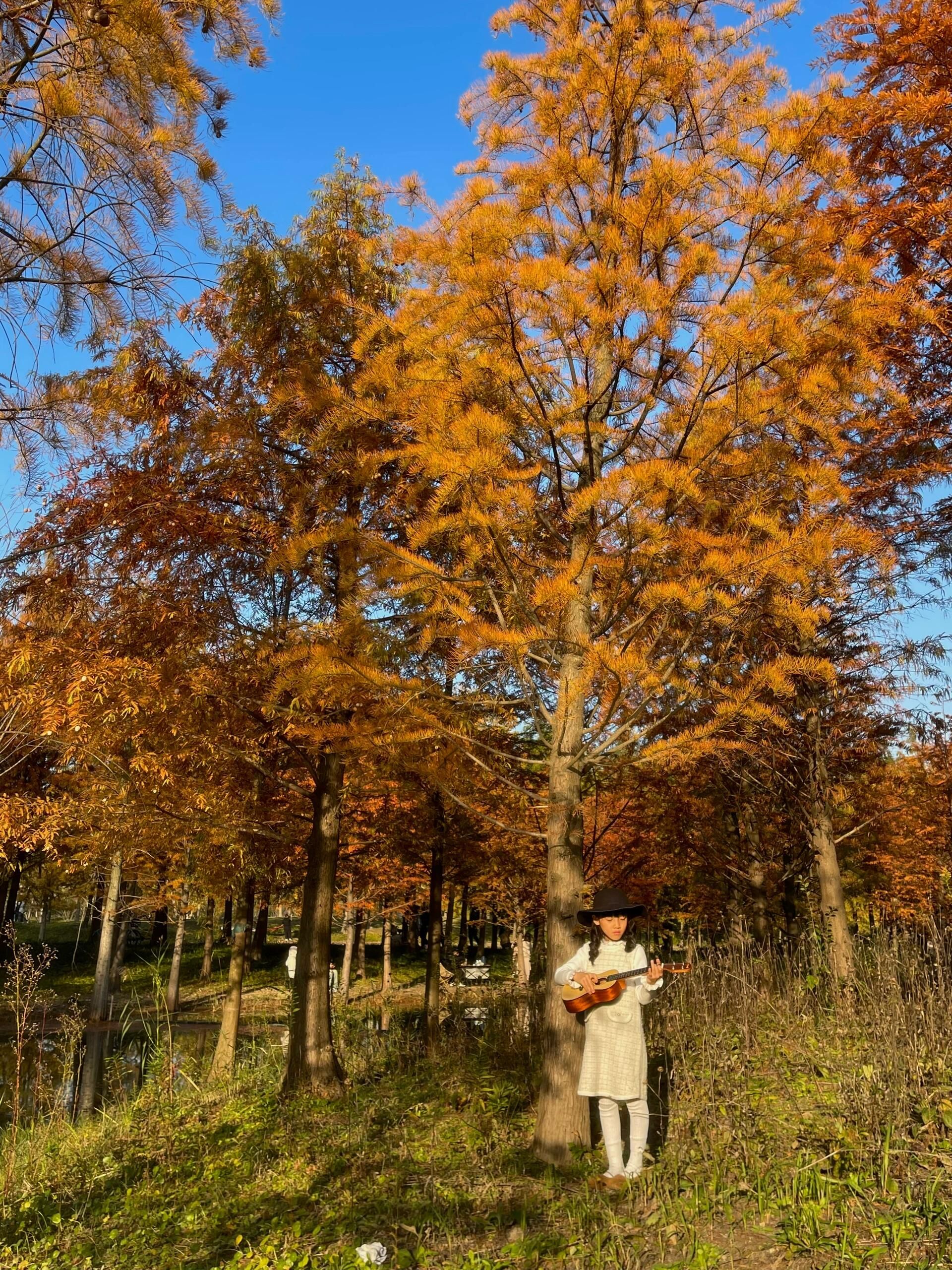 三林滨江绿地旅行图片 3