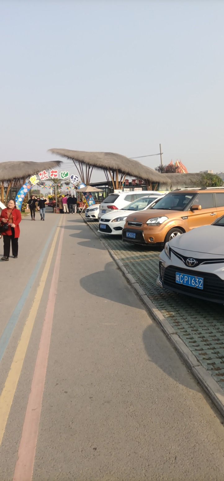 禾泉小镇米粒花世界旅行图片 3
