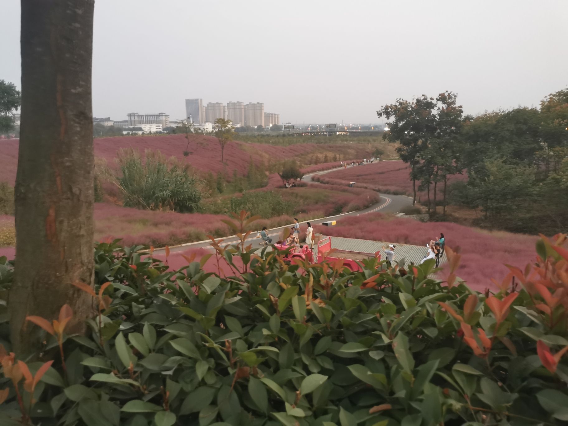禾泉小镇米粒花世界旅行图片 1