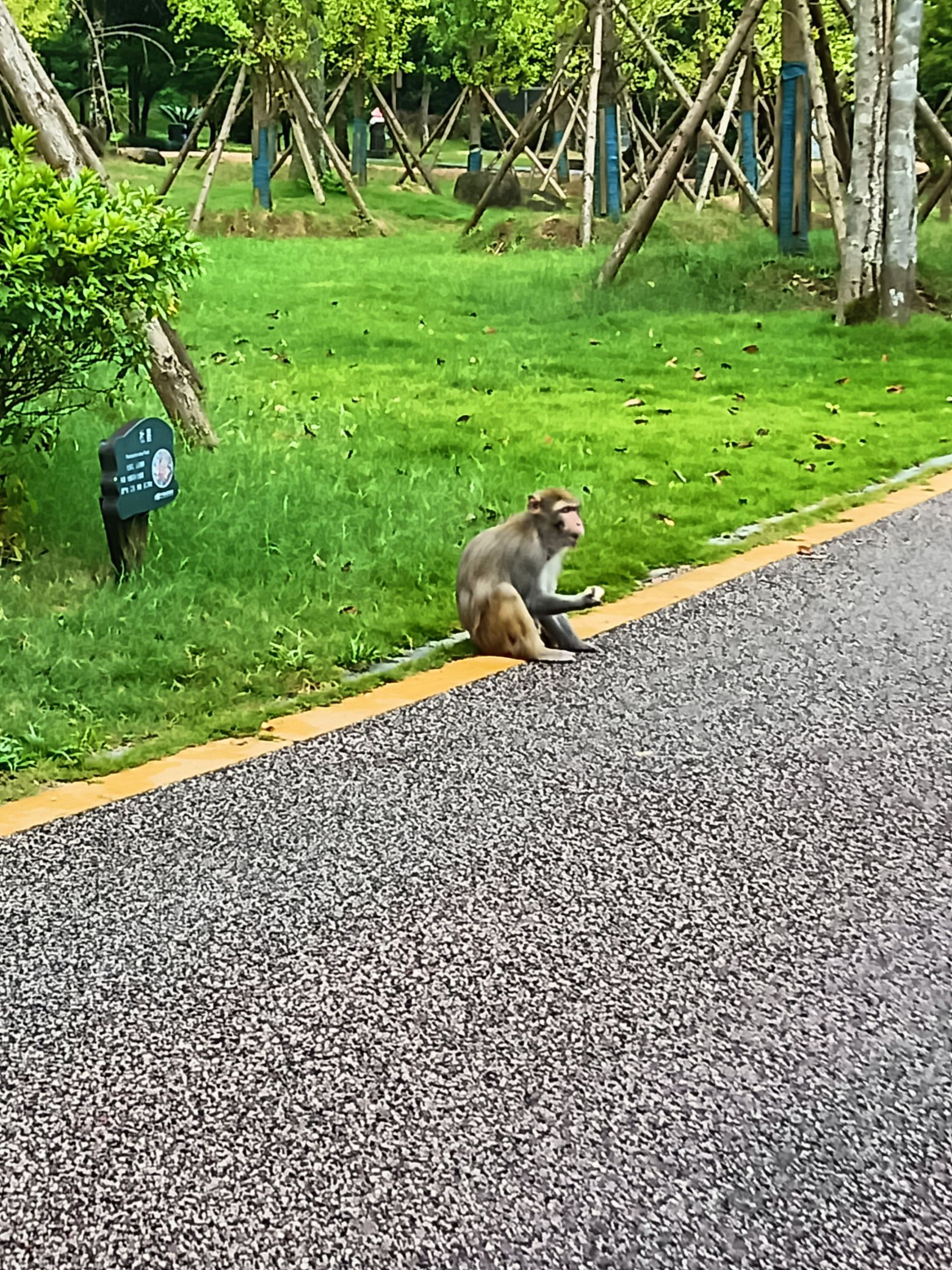 仙姑瀑布旅行图片 3