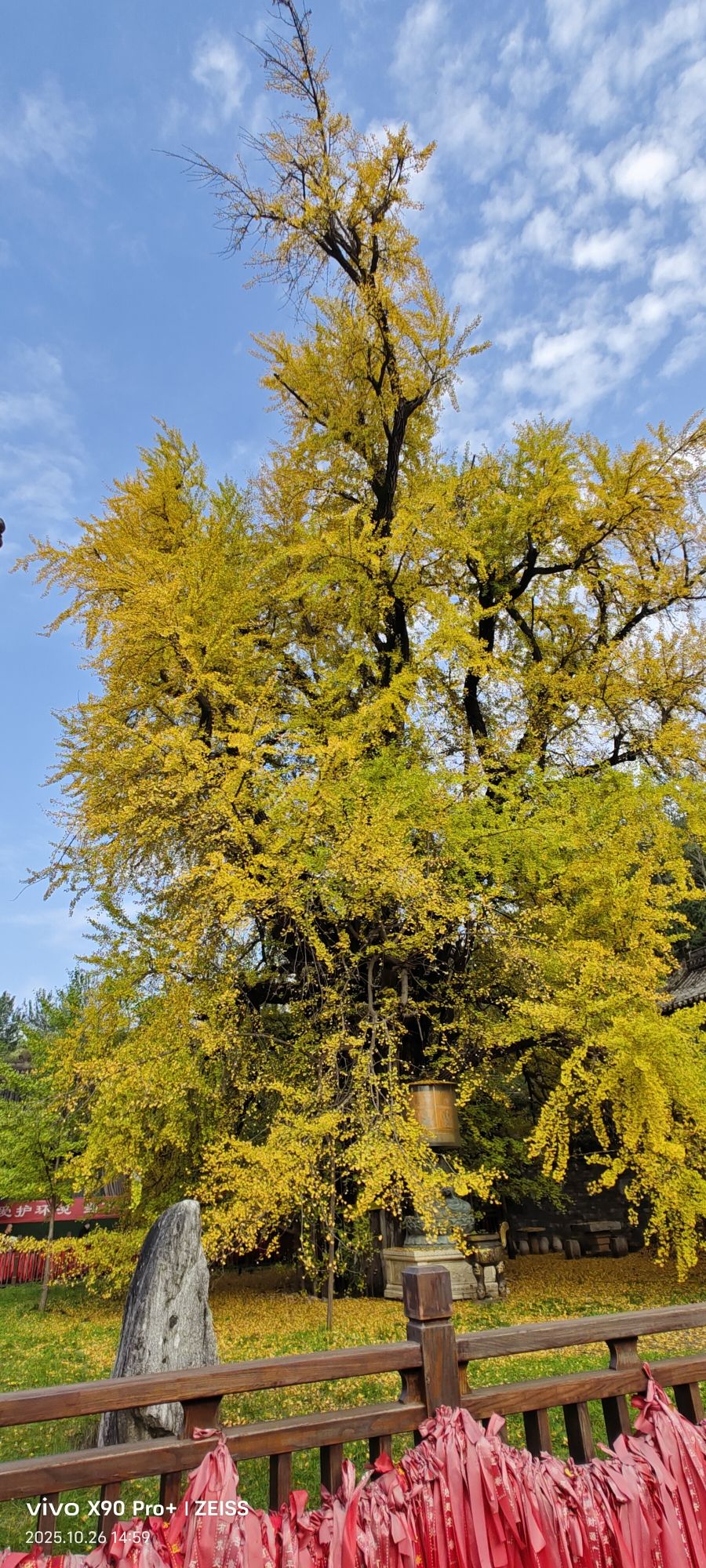 观音禅寺实景照片