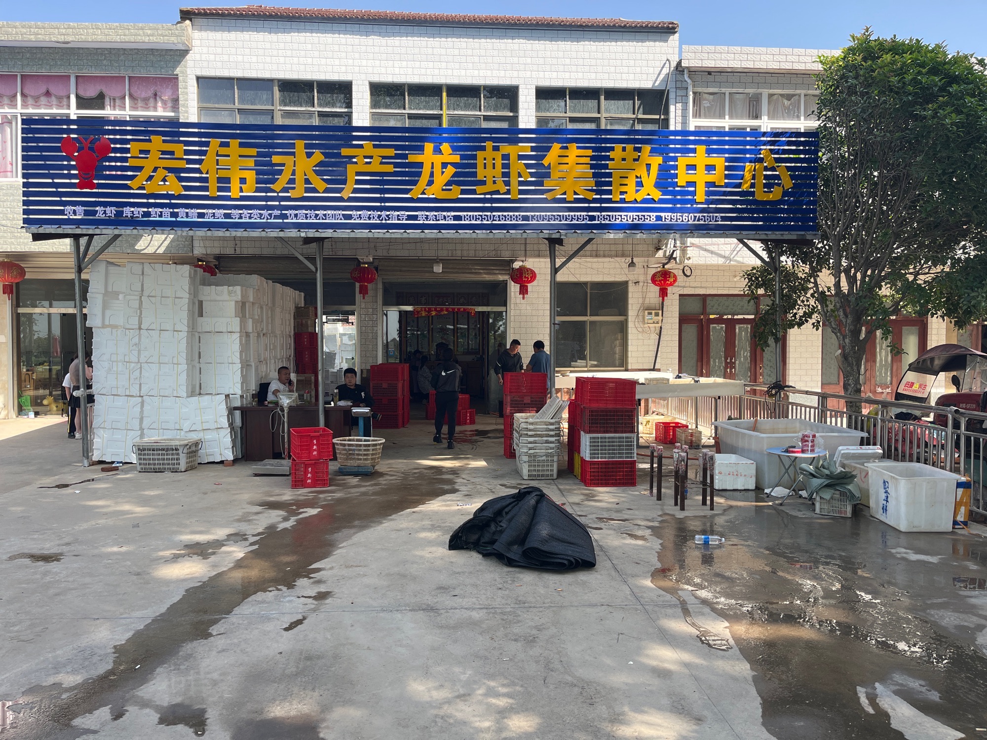 宏伟水产龙虾集散中心