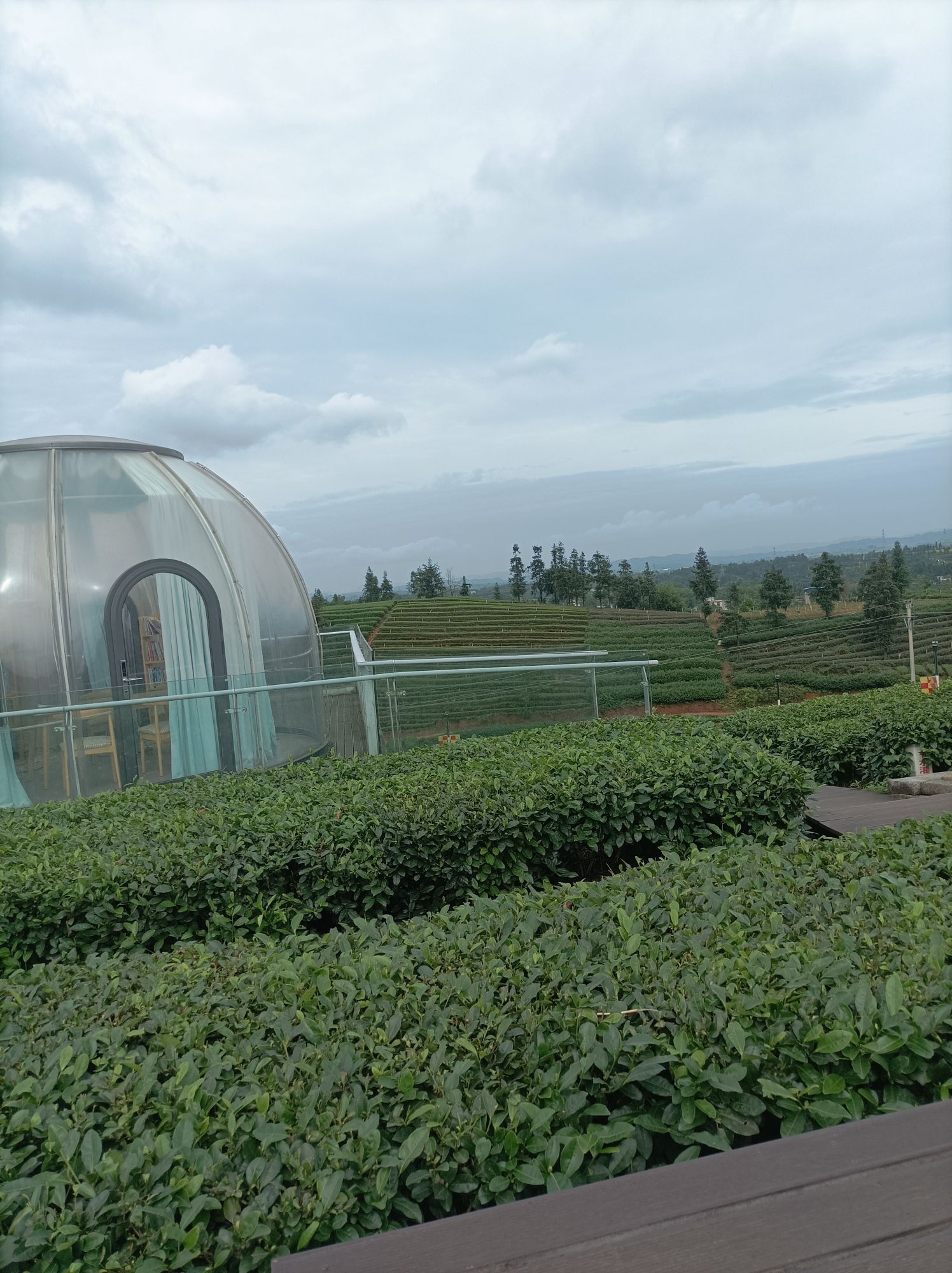 梅岭茶山公园旅行图片 3