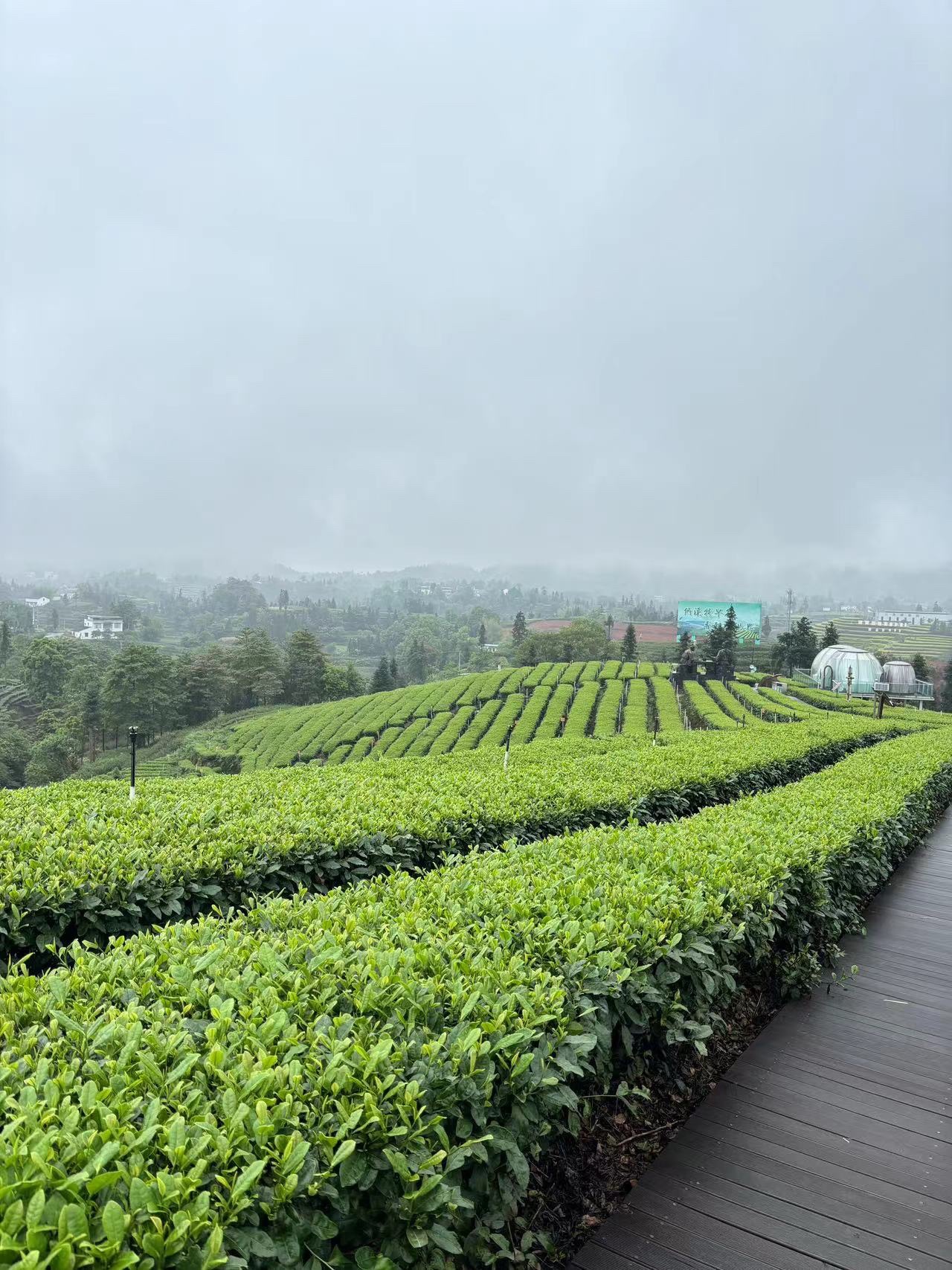 梅岭茶山公园旅行图片 2