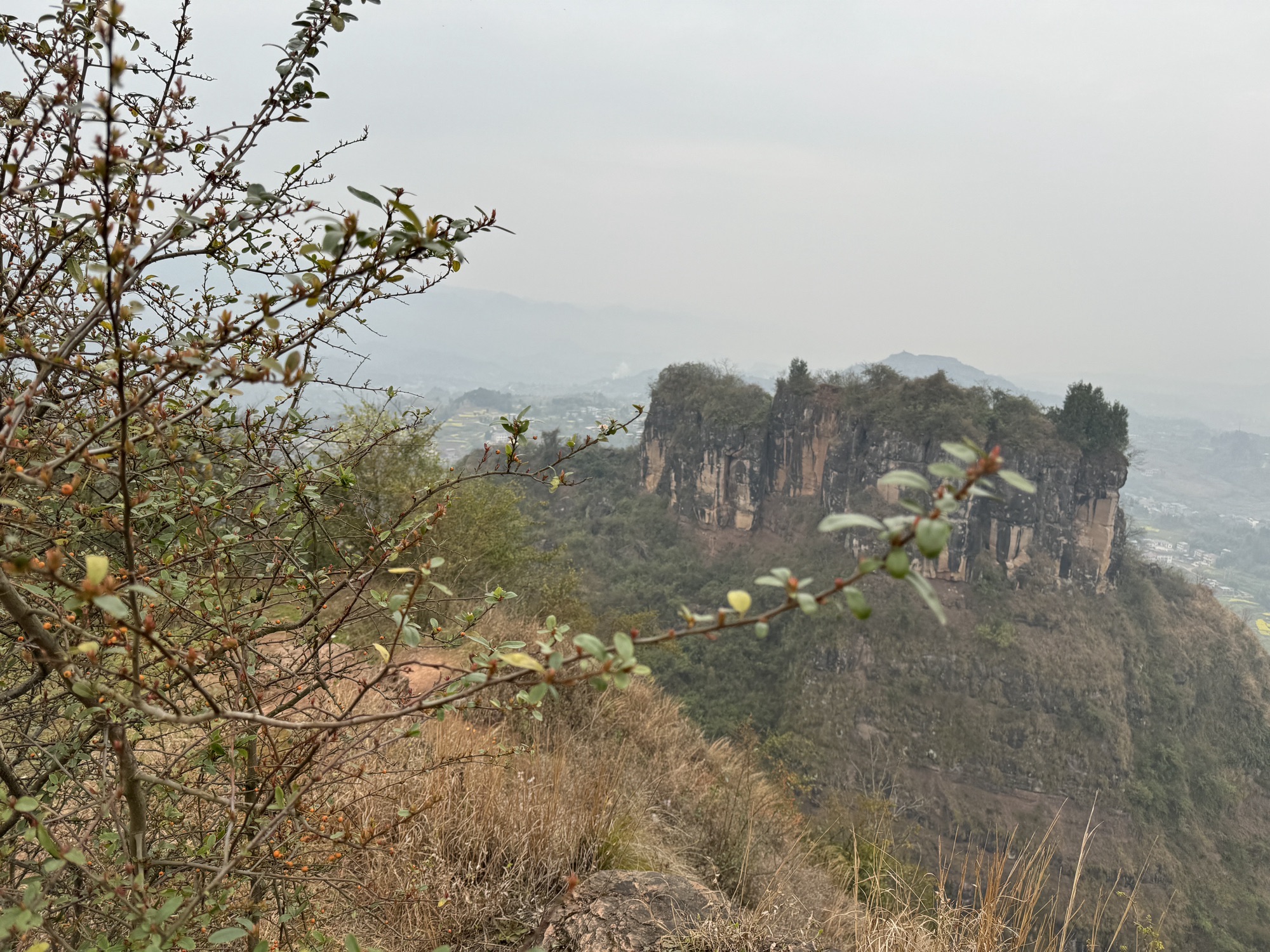 鲤鱼寨遗址旅行图片 3