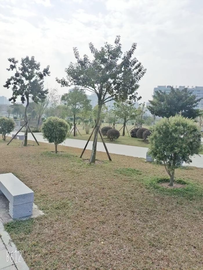 站南公园旅行图片 2