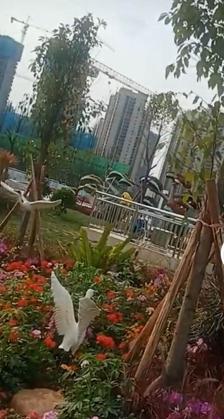 站南公园旅行图片 2