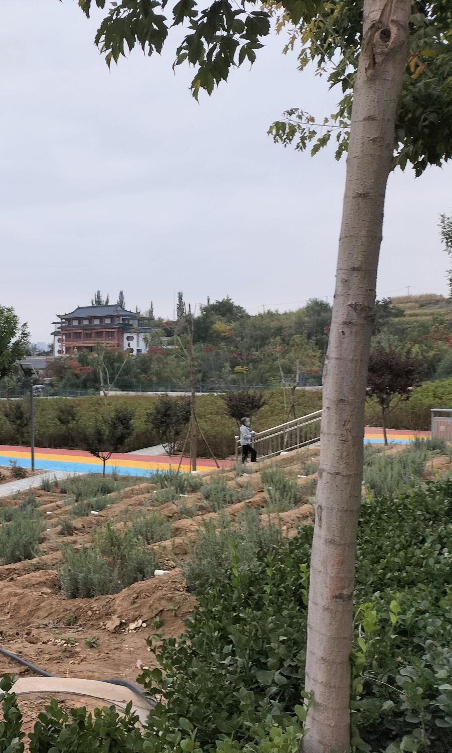 忻州植物园旅行图片 2