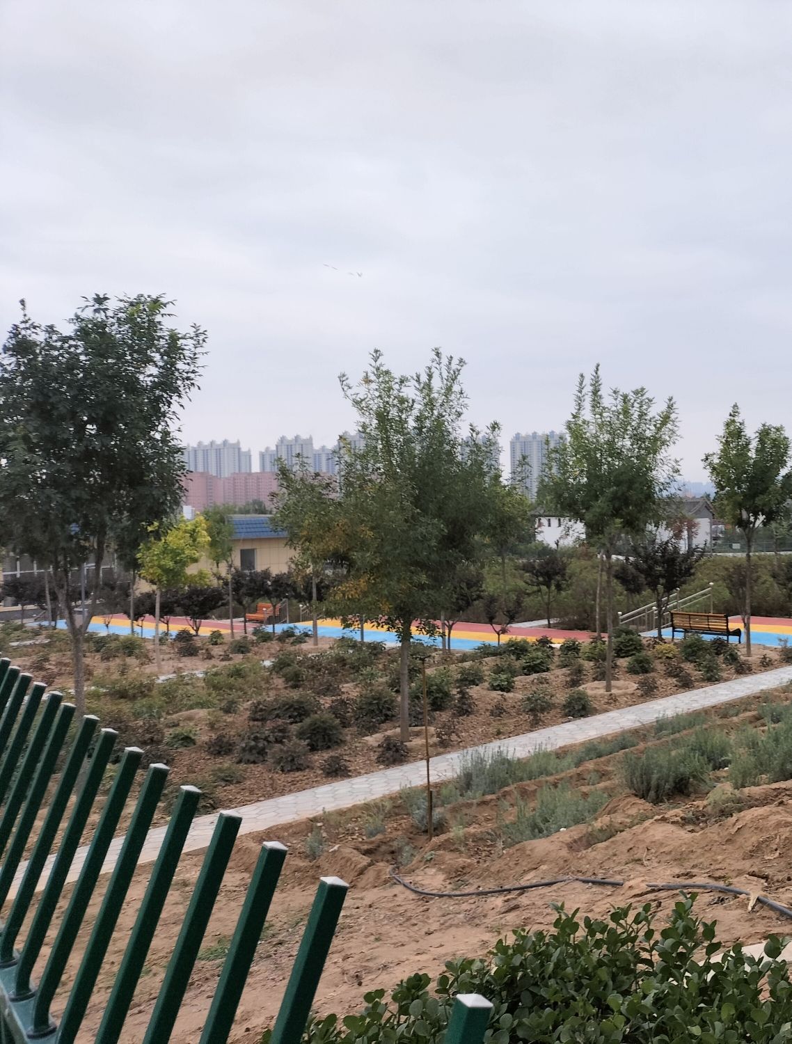 忻州植物园旅行图片