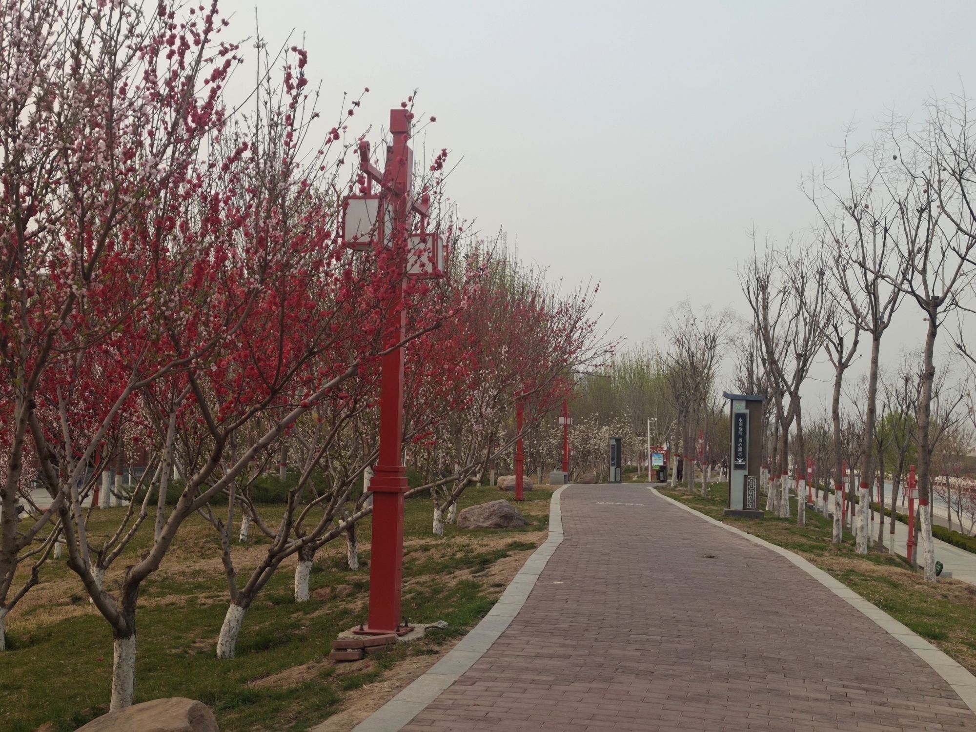 硝河游园旅行图片 1