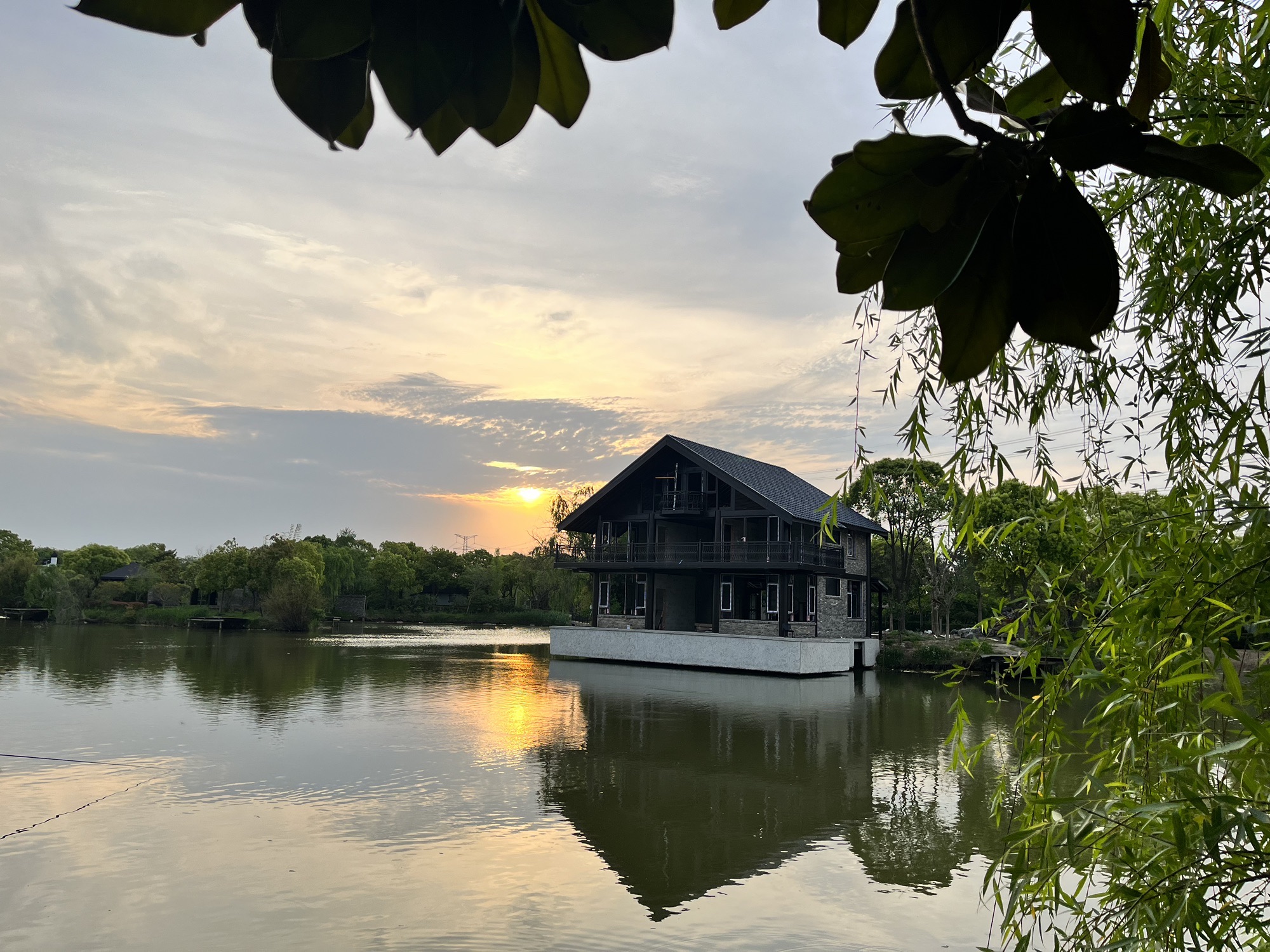 九龙岛文化湿地旅行图片 3