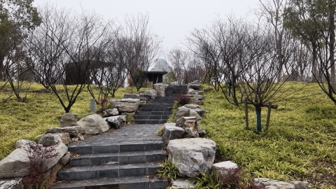 巡司河体育公园旅行图片 3