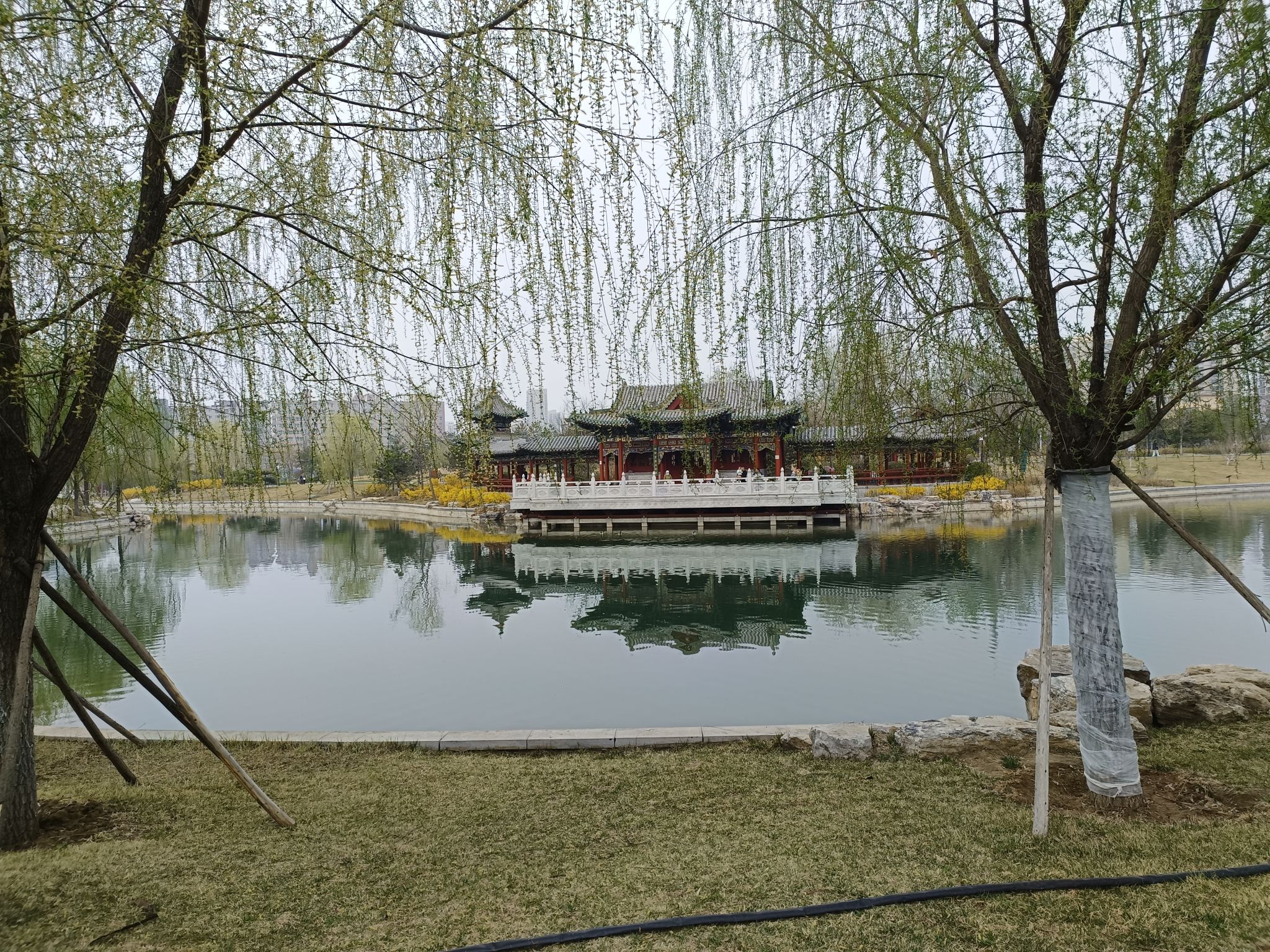 双塔公园旅行图片 1