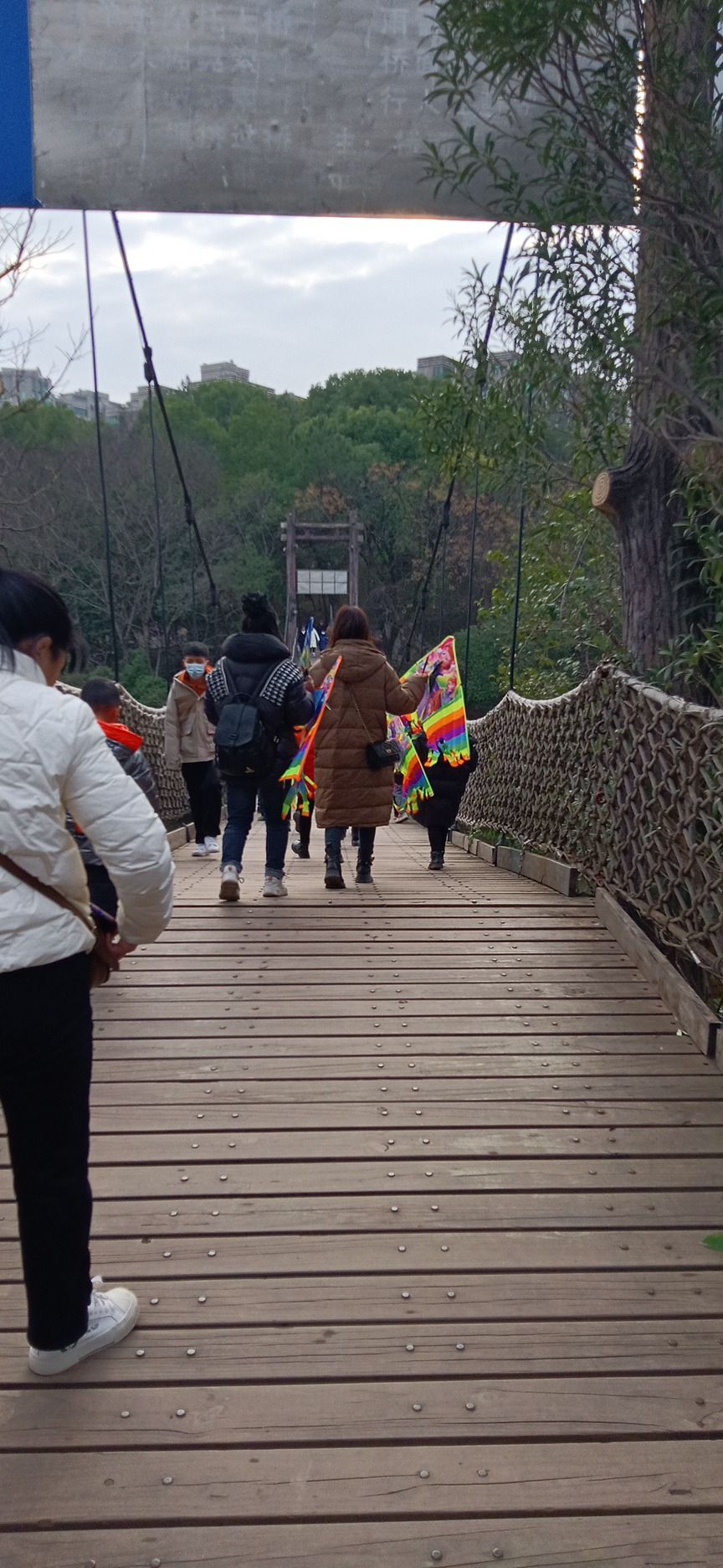 平湖公园-景观悬索桥