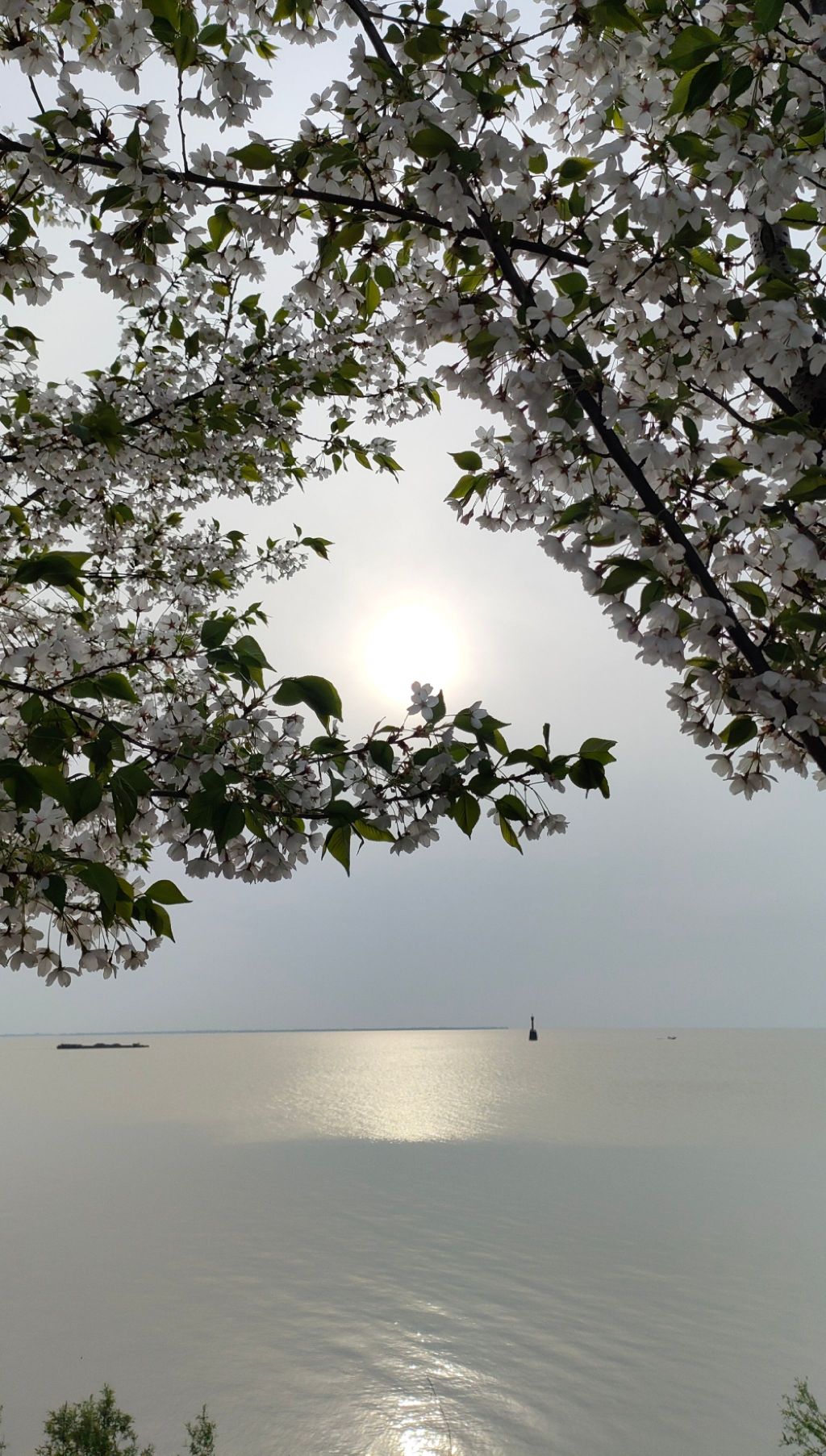 中国大运河·高邮明清运河故道旅行图片 2